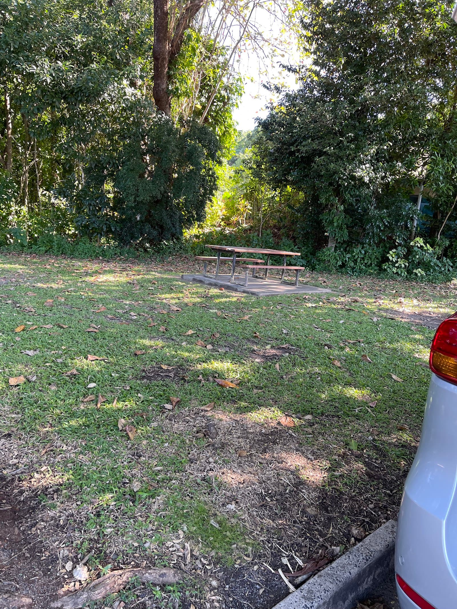 Jim Gould Park — Edge Hill, Cairns