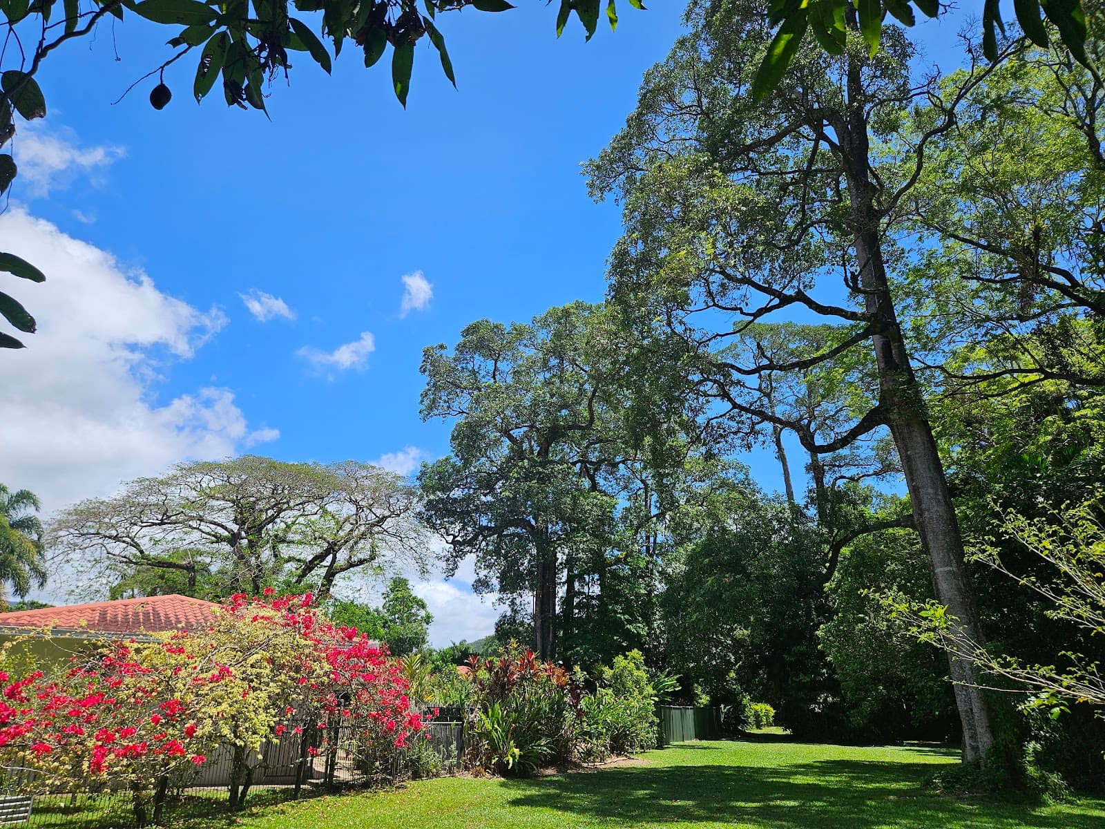 Vessey Park — Edge Hill, Cairns