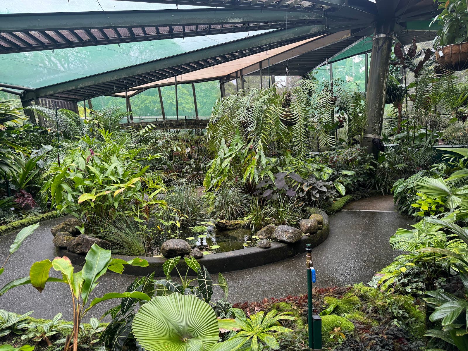 Watkins Munro Martin Conservatory — Edge Hill, Cairns