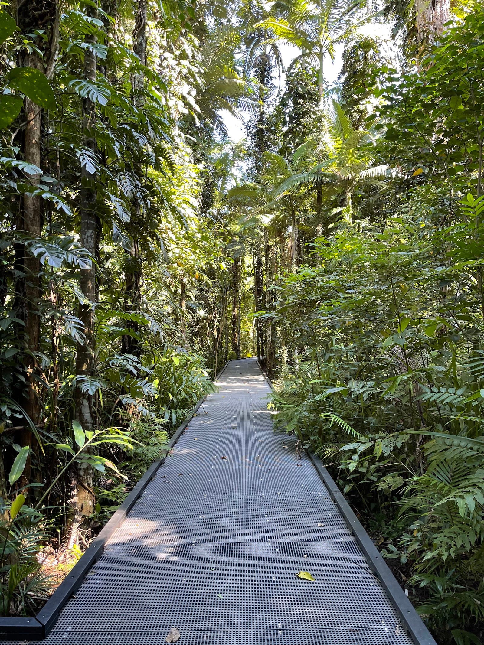Fitzalan Garden — Edge Hill, Cairns