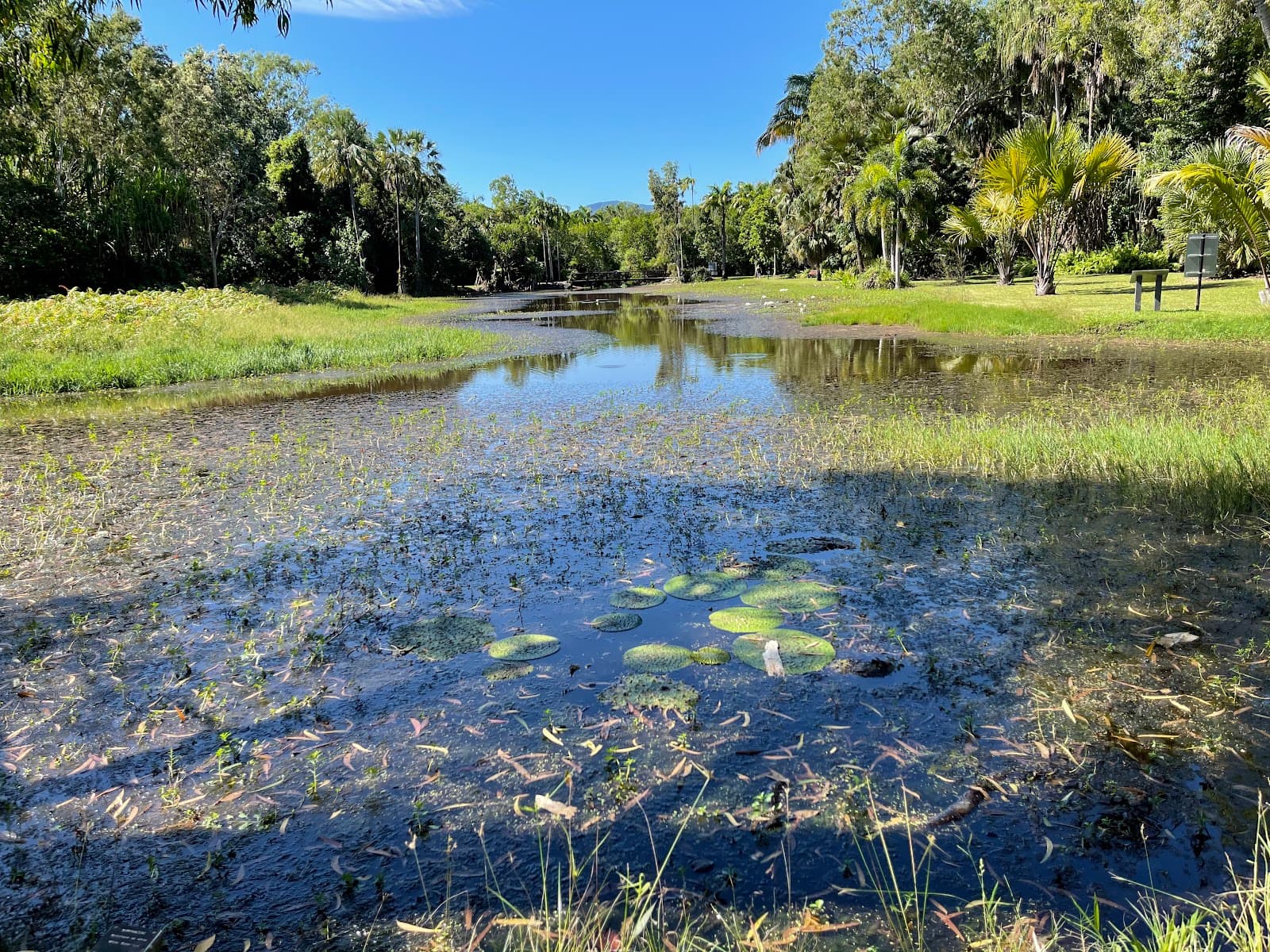 Fitzalan Garden — Edge Hill, Cairns