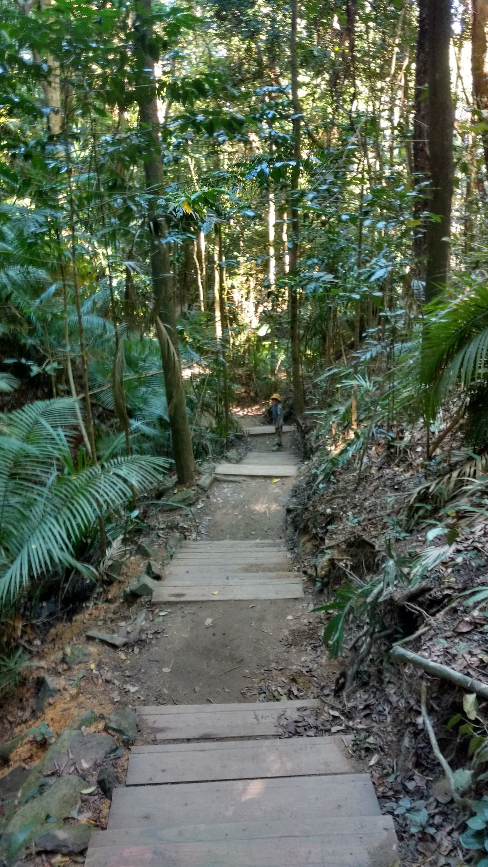 Red Arrow Circuit Lookout — Edge Hill, Cairns