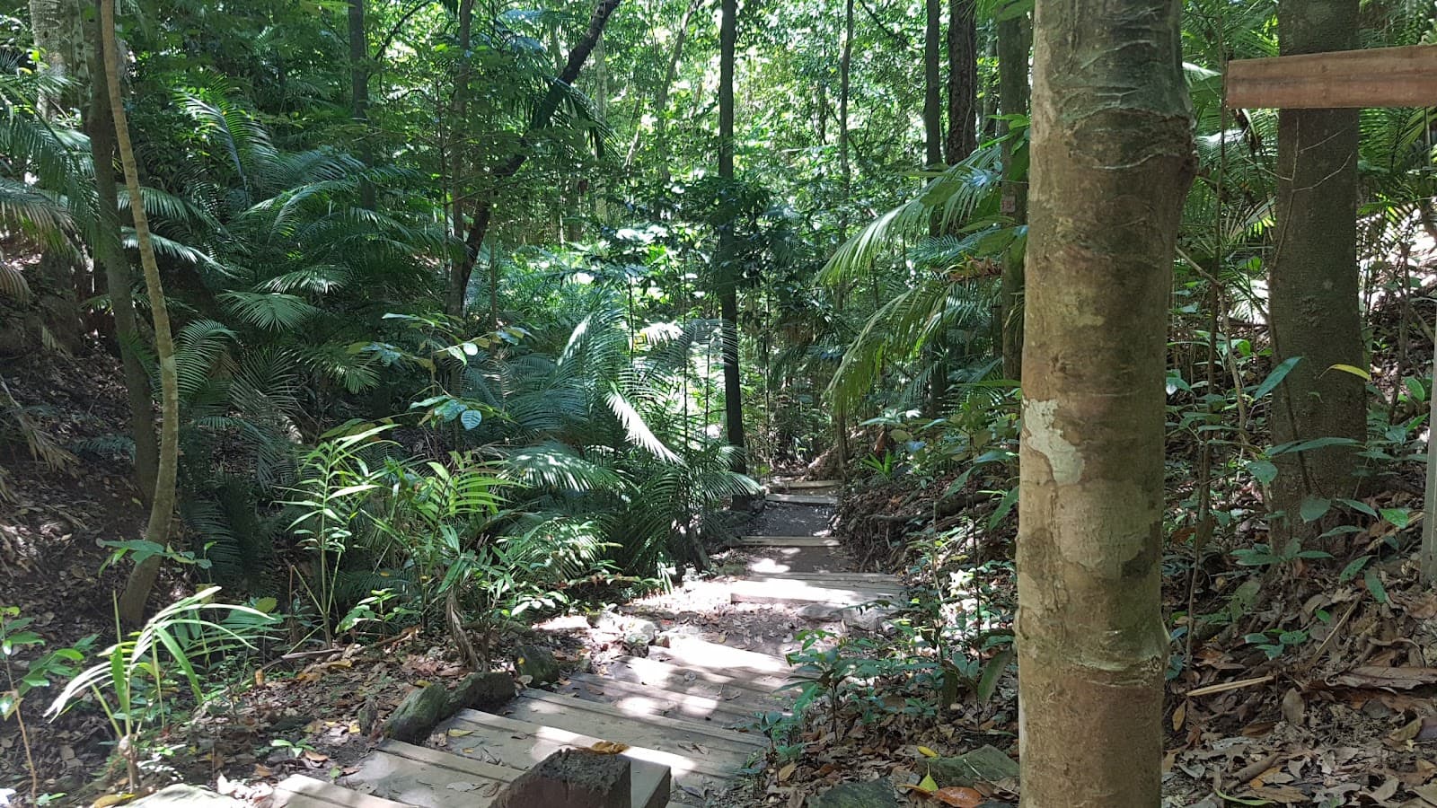 Blue Arrow Circuit Aeroglen Lookout — Edge Hill, Cairns