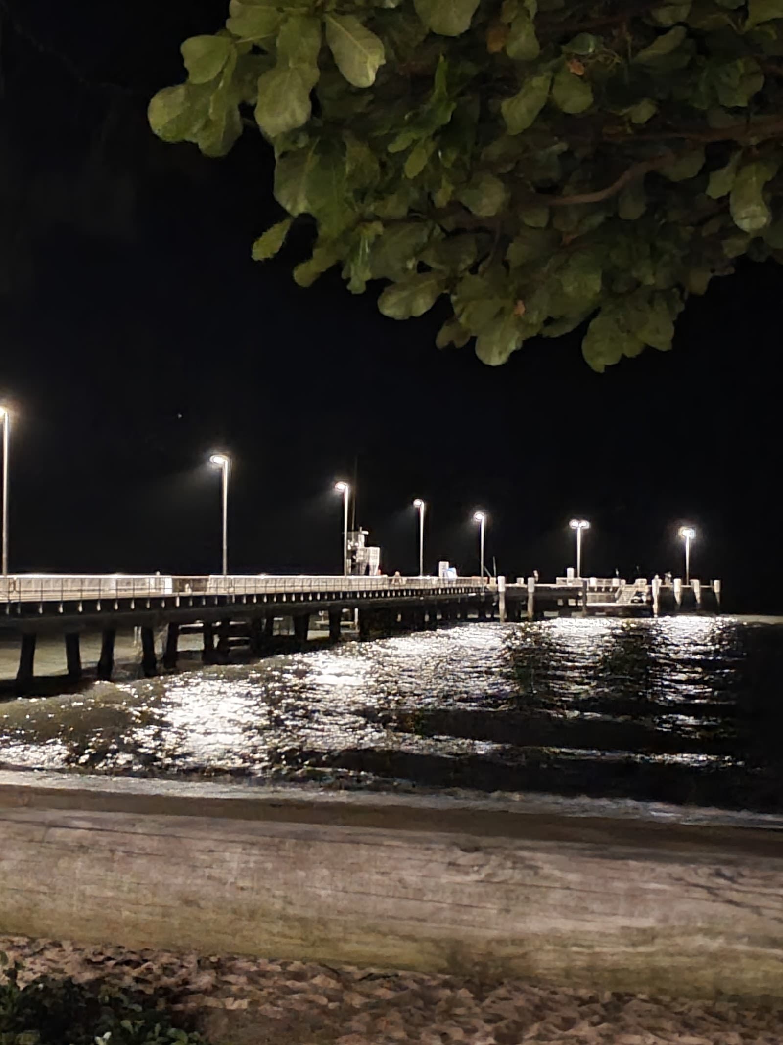 Palm Cove Campground — Palm Cove, Cairns