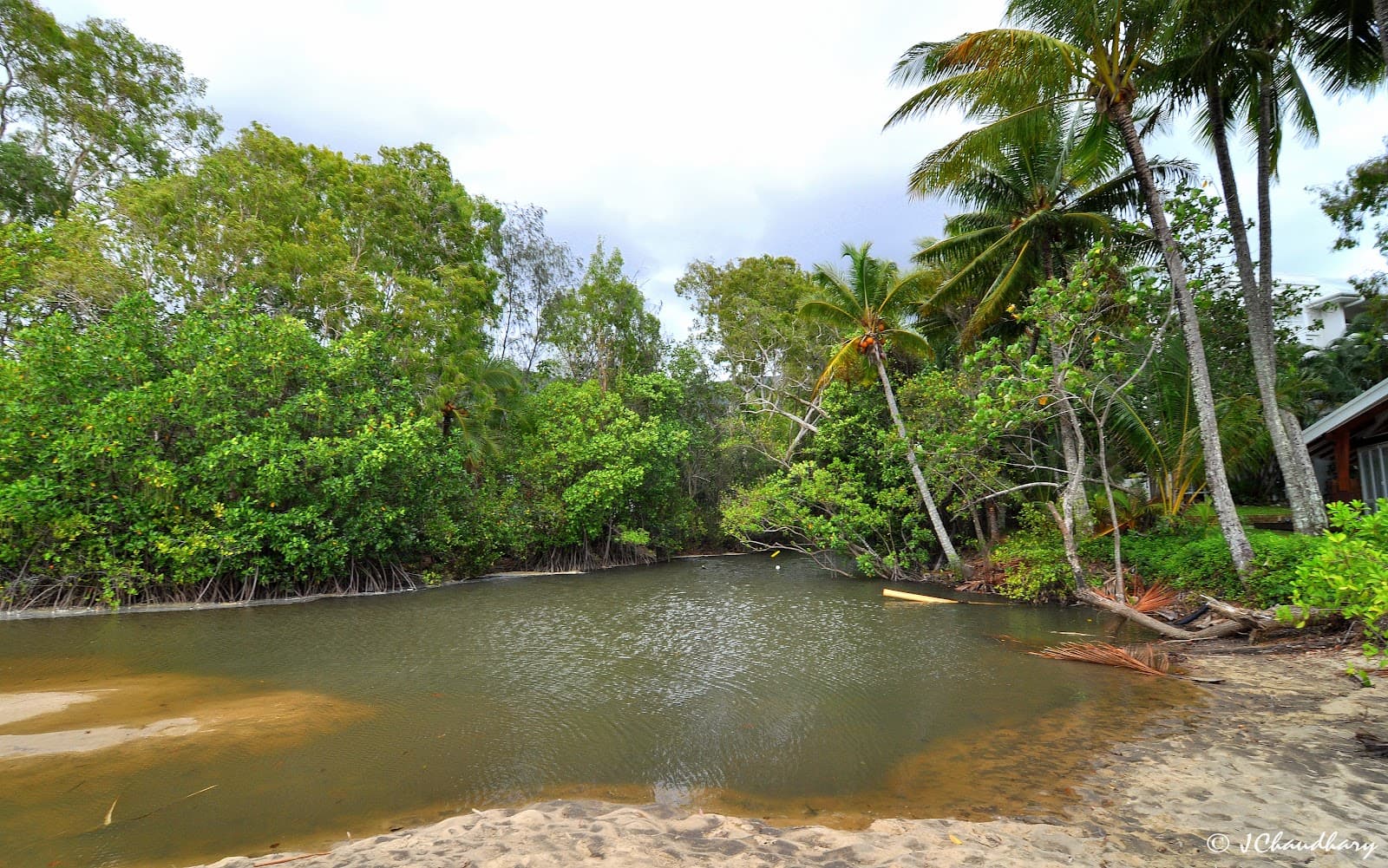 South Palm Cove Estuary — Palm Cove, Cairns