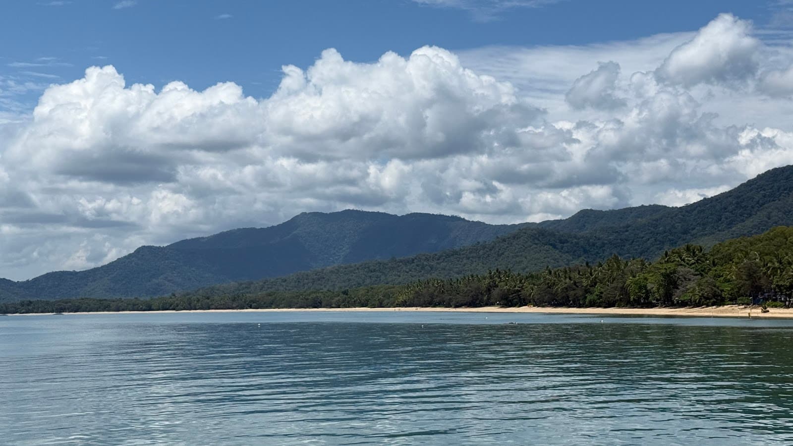 South Palm Cove Estuary — Palm Cove, Cairns