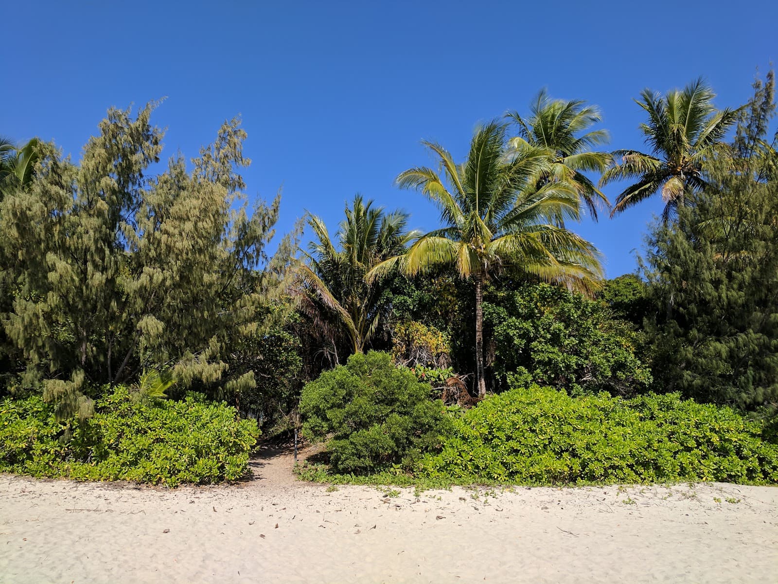 Four Mile Beach Park — Port Douglas, Cairns