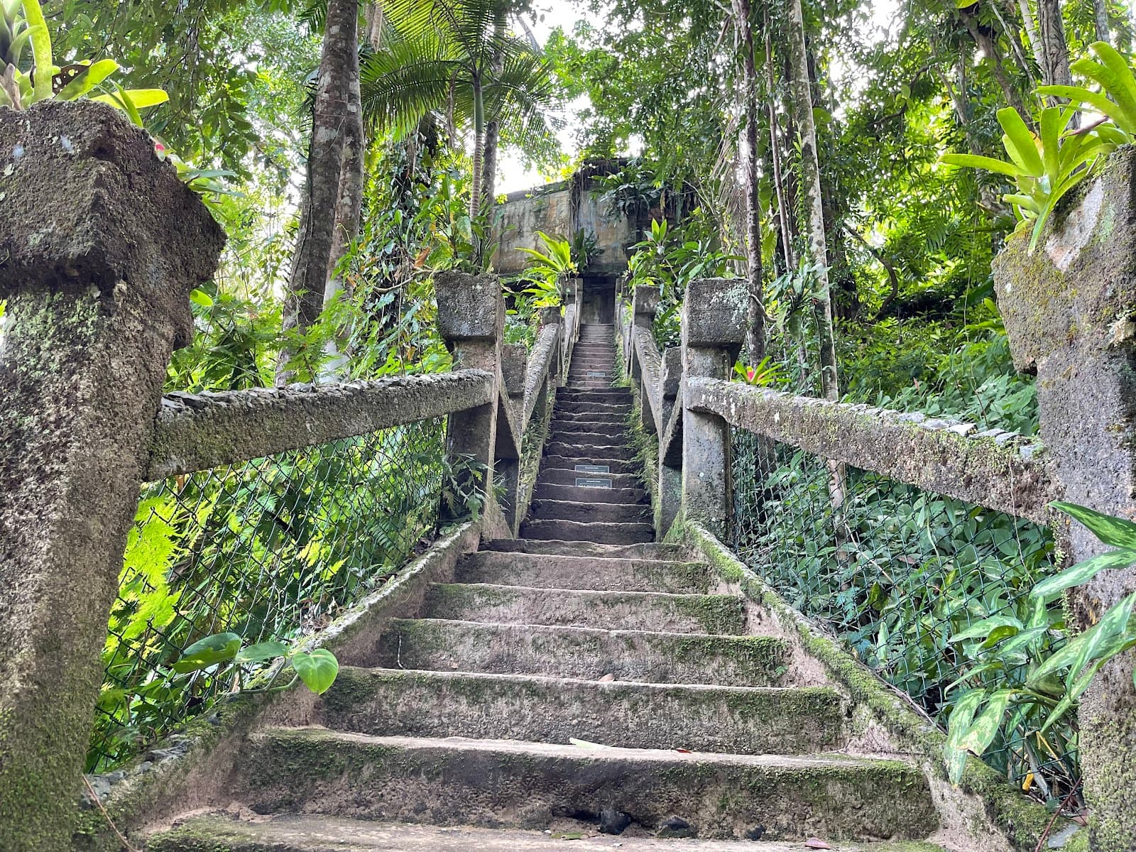 Paronella Park — Port Douglas, Cairns