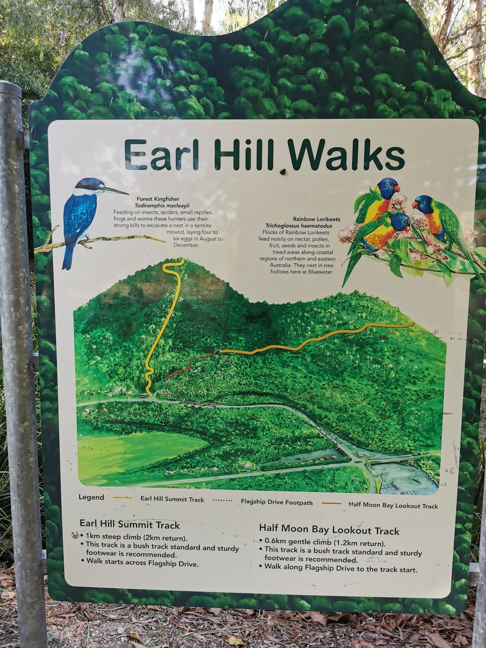 Earl Hill Summit Track — Trinity Beach, Cairns