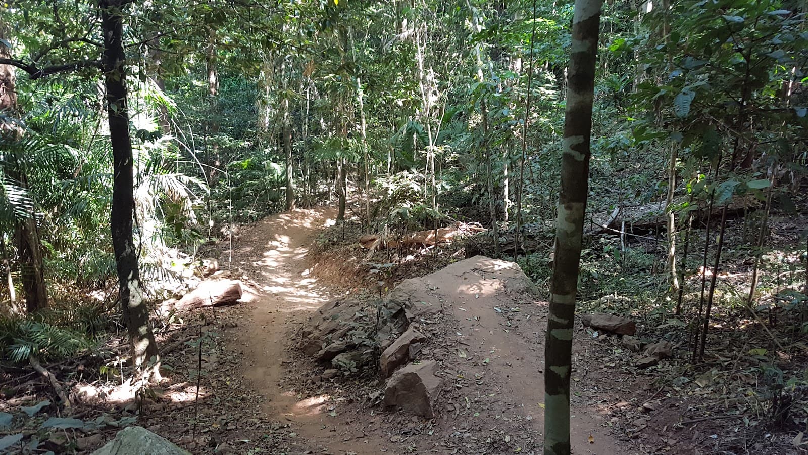Smithfield Conservation Park — Smithfield, Cairns