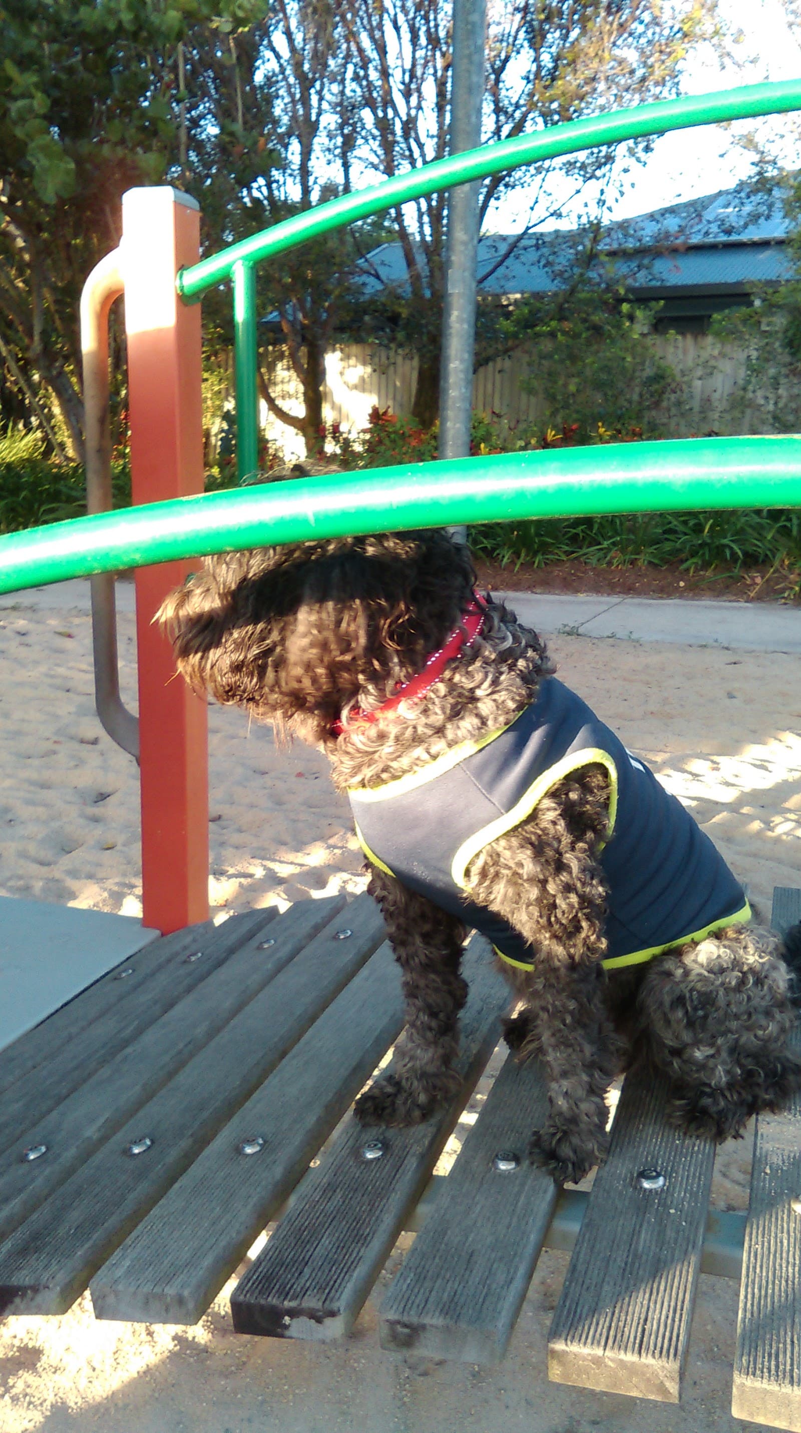 David Williams Park — Trinity Beach, Cairns