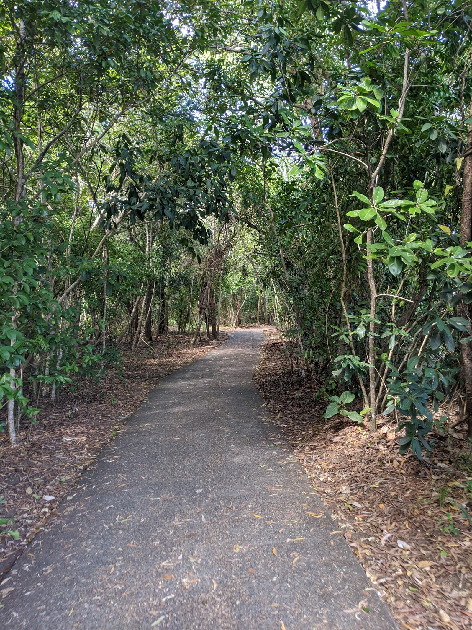 Deadmans Gully Park — Clifton Beach, Cairns