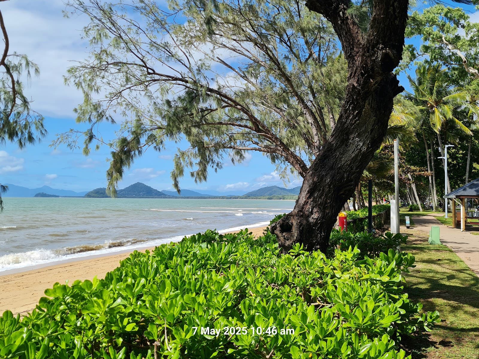Upolu Nature Reserve — Clifton Beach, Cairns