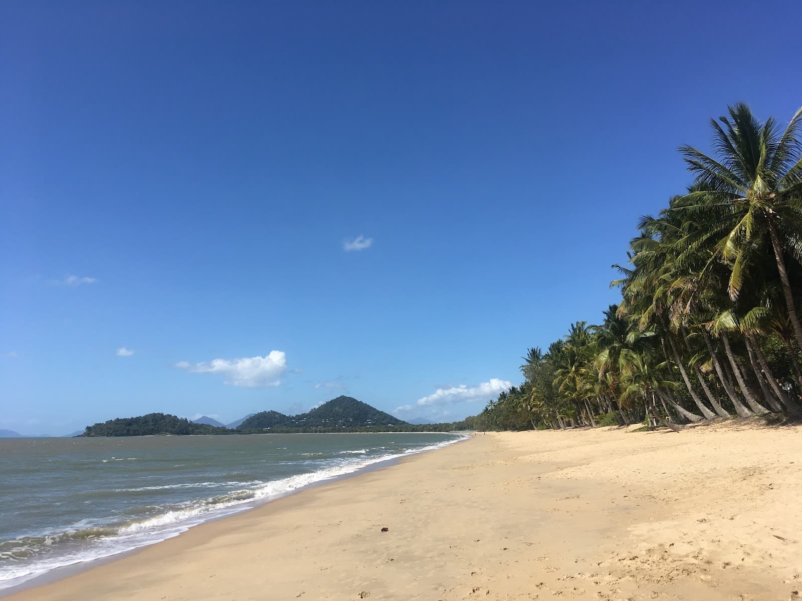 AICE Club Revegetation Site — Clifton Beach, Cairns