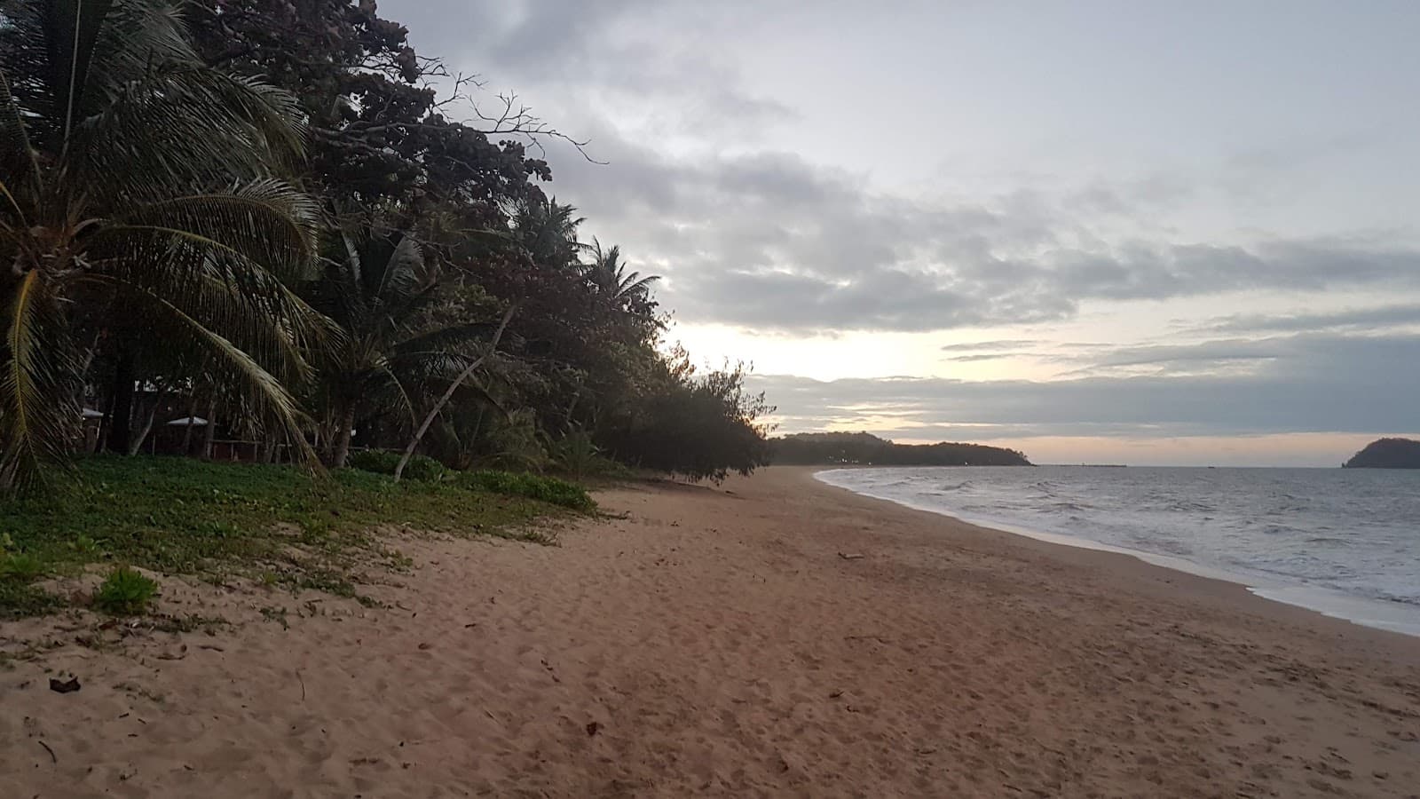 AICE Club Revegetation Site — Clifton Beach, Cairns