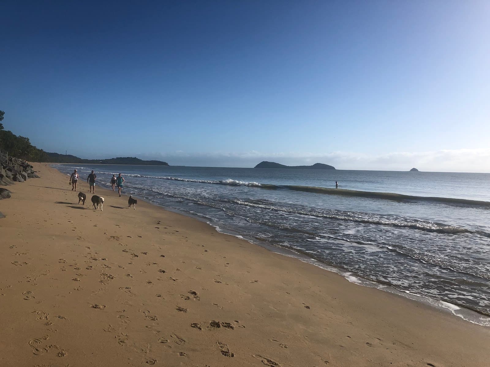 Harry Doyle Pickles winter off leash dog beach — Clifton Beach, Cairns