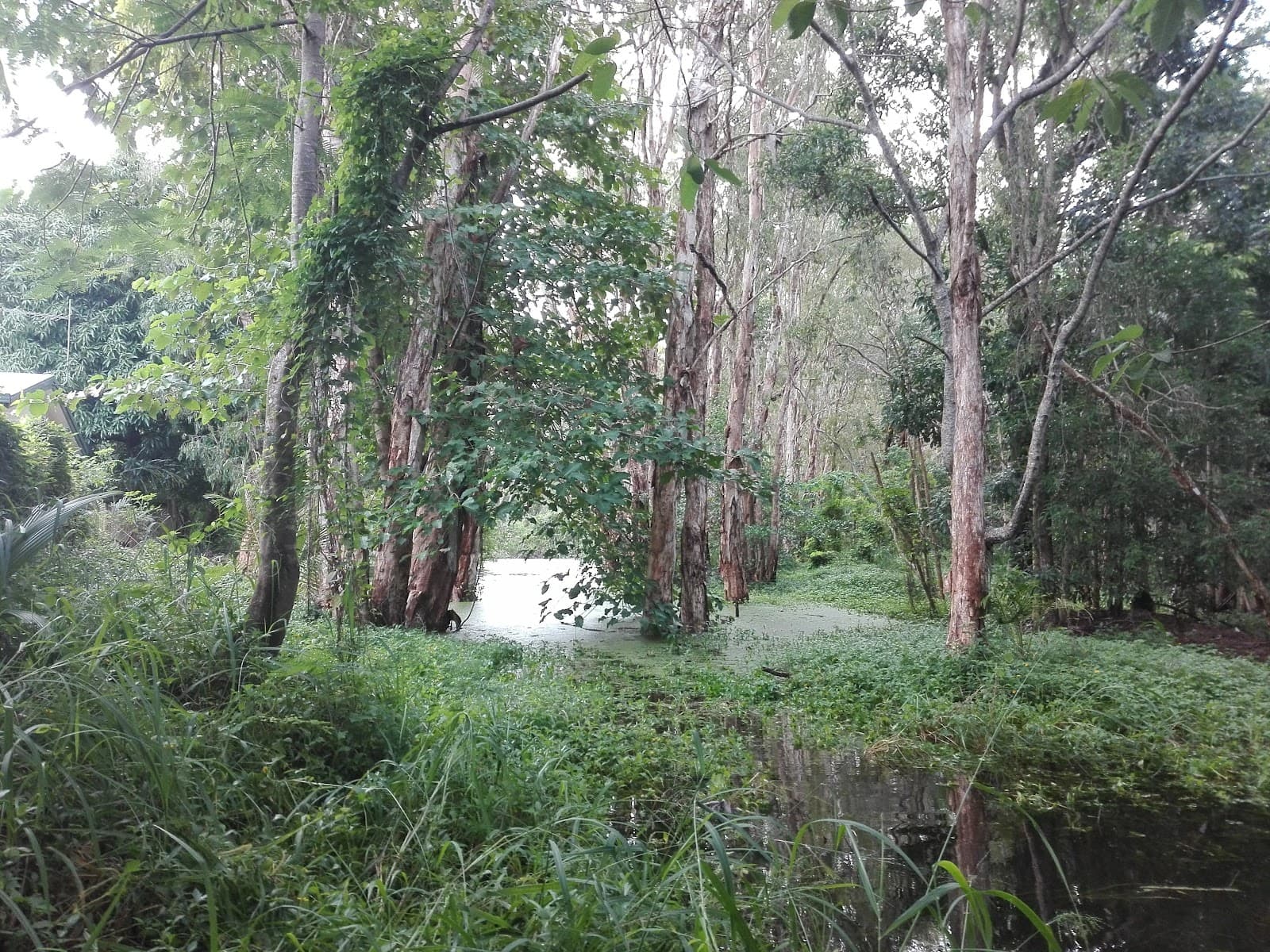 Syd and Jane Granville Park — Holloways Beach, Cairns