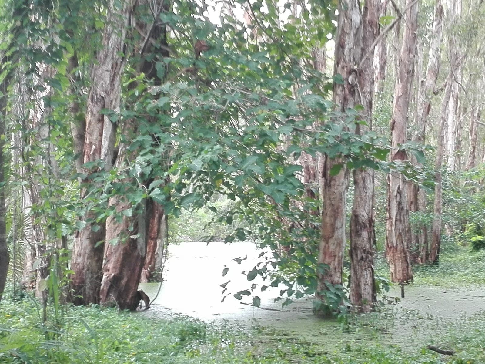Syd and Jane Granville Park — Holloways Beach, Cairns