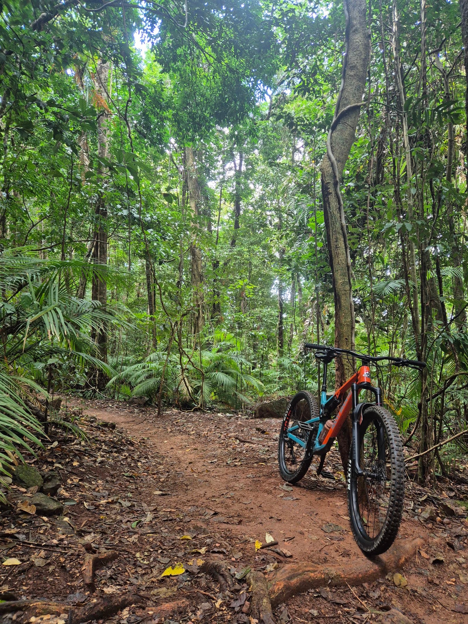 Smithfield Mountain Bike Park Trail head — Smithfield, Cairns