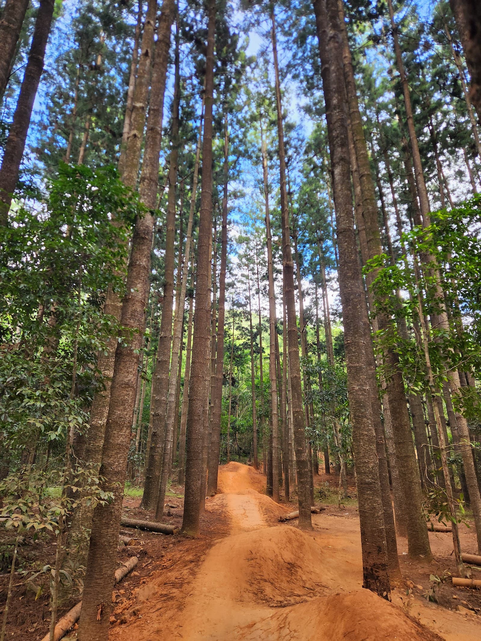 Smithfield Mountain Bike Park Trail head — Smithfield, Cairns