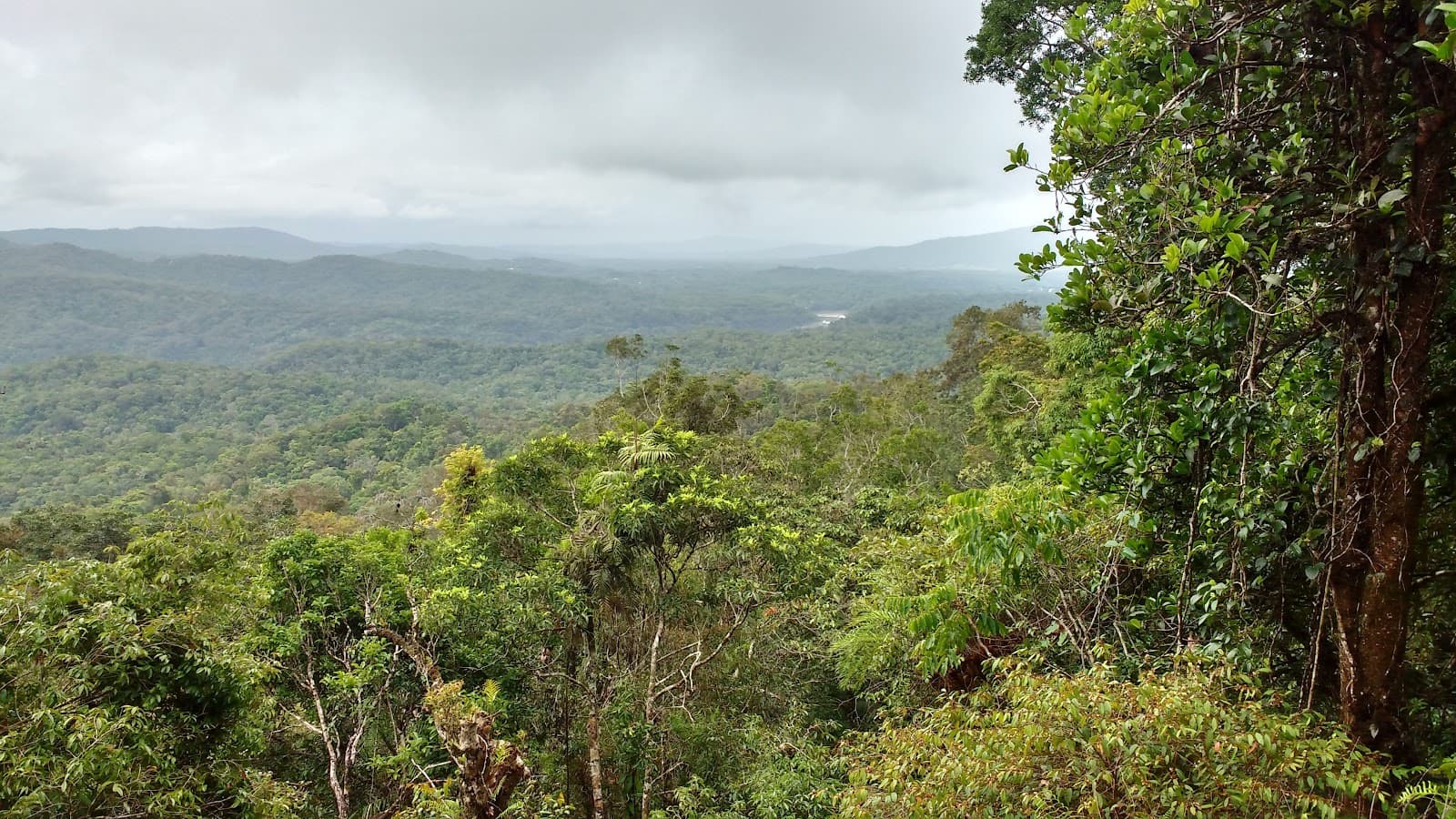 Cairnwell Street Park — Smithfield, Cairns