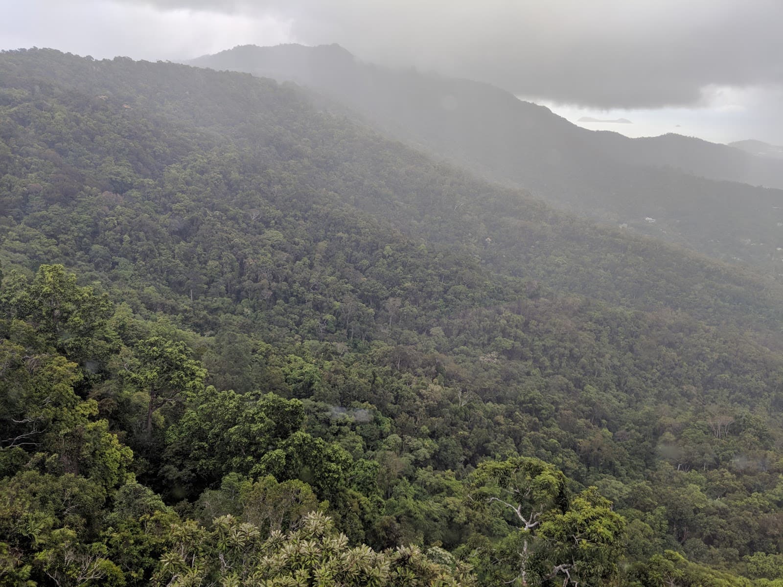Whipbird Park — Smithfield, Cairns
