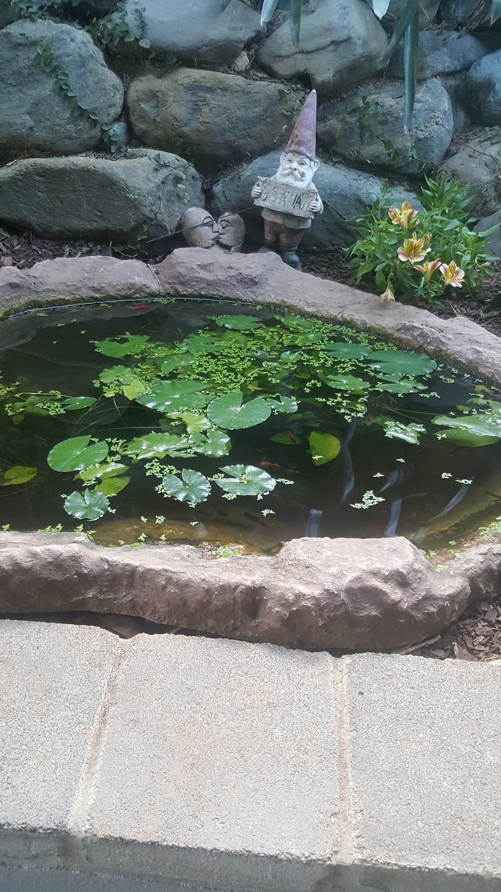 Allyson Street Park — Smithfield, Cairns