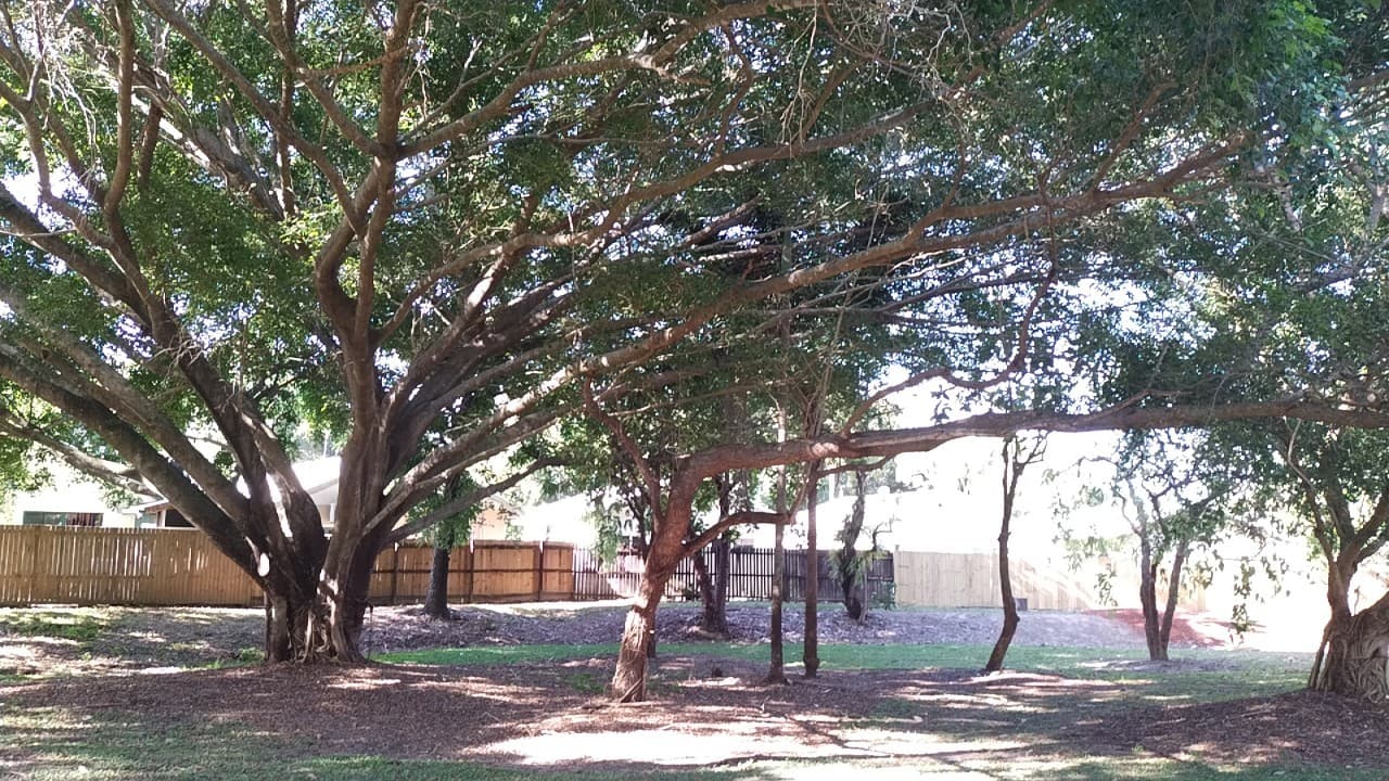 Saddle Mountain Park — Smithfield, Cairns