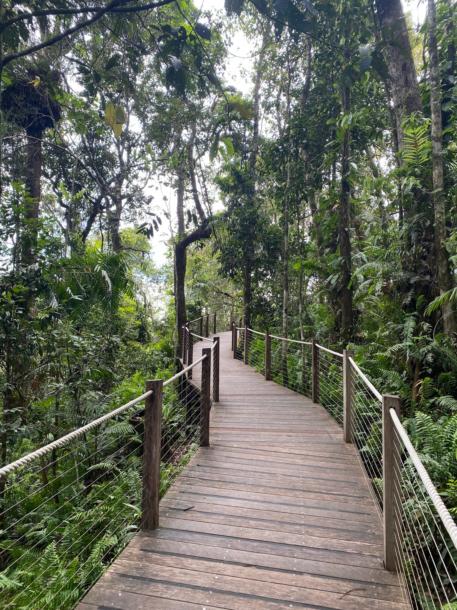 Kuranda National Park — Kuranda, Cairns