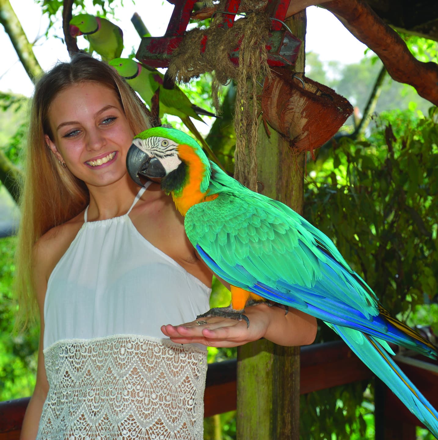 Birdworld Kuranda — Kuranda, Cairns