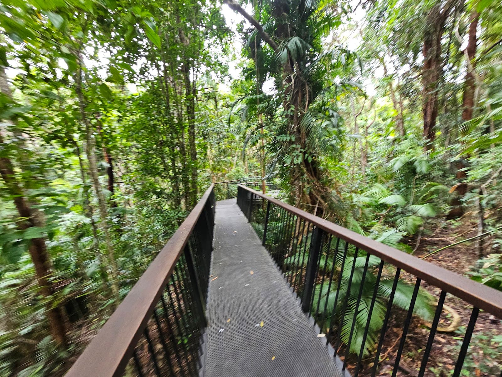 Barron Falls Rainforest Canopy Walk and Lookout — Kuranda, Cairns