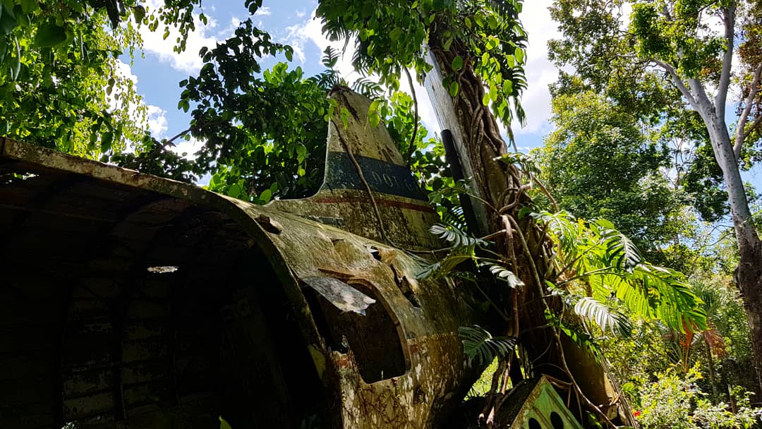 Rotary Park — Kuranda, Cairns