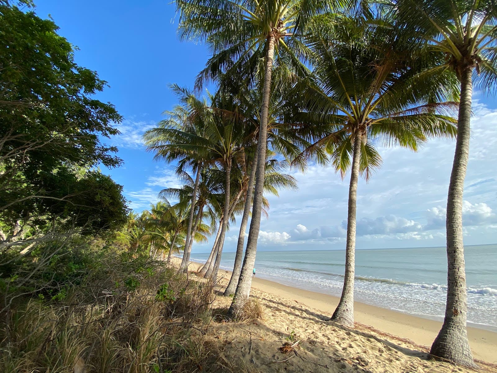 Ellis Beach — Palm Cove, Cairns