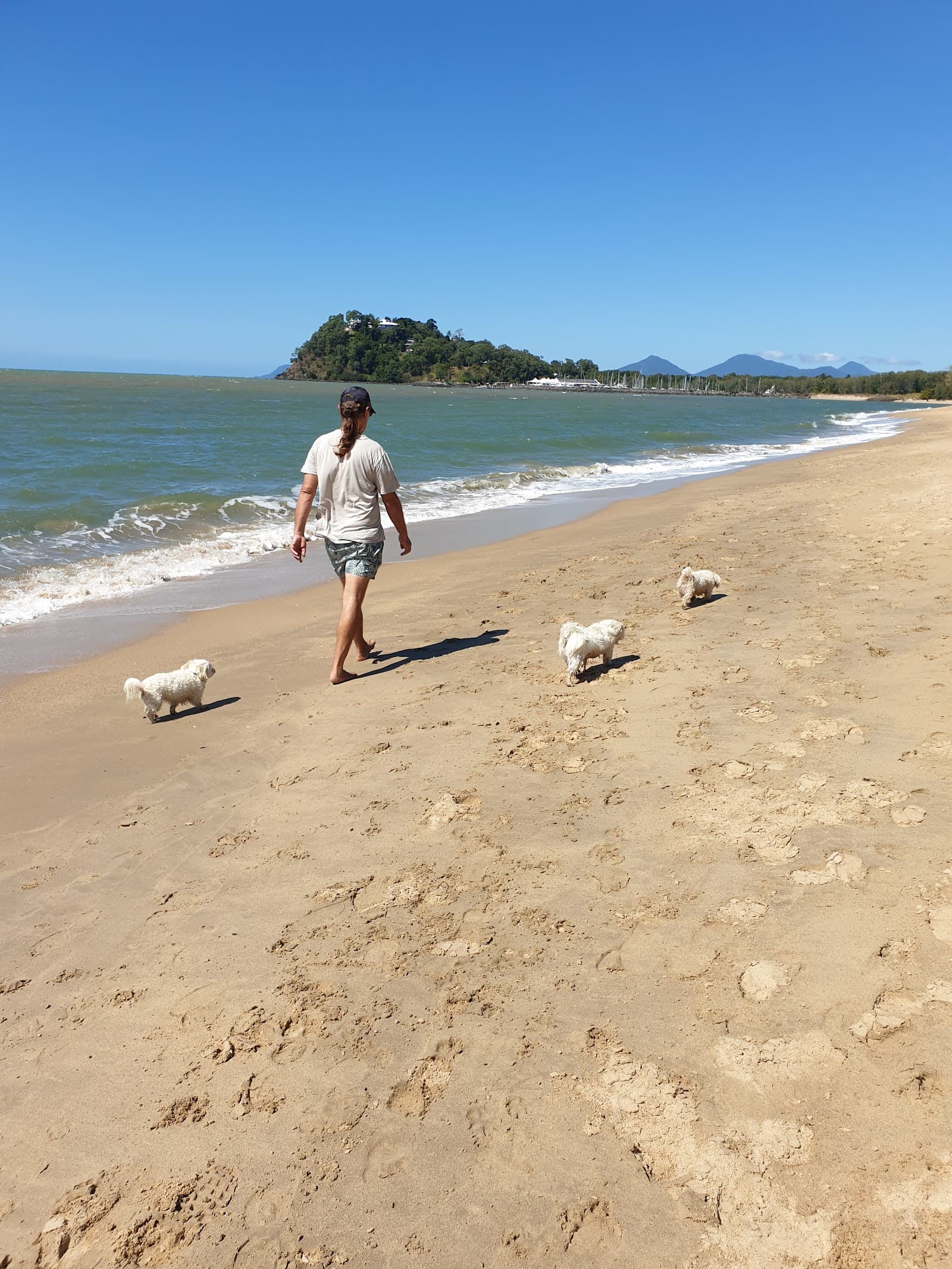 Half Moon Bay Beach — Yorkeys Knob, Cairns