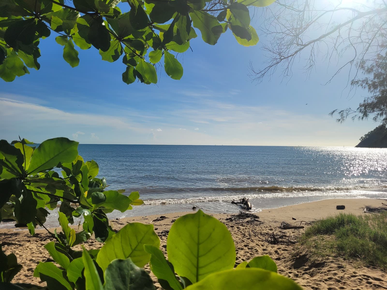 Half Moon Bay Beach — Yorkeys Knob, Cairns