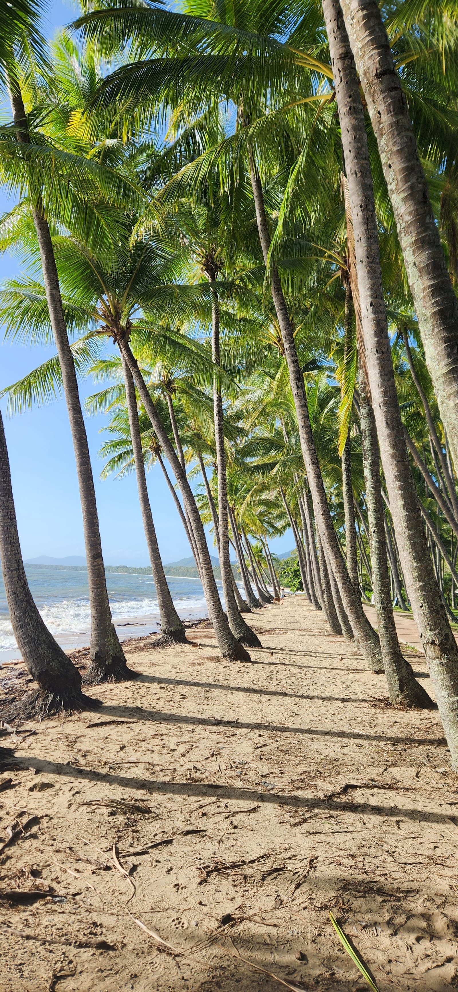 Palm Cove Beach - South — Palm Cove, Cairns