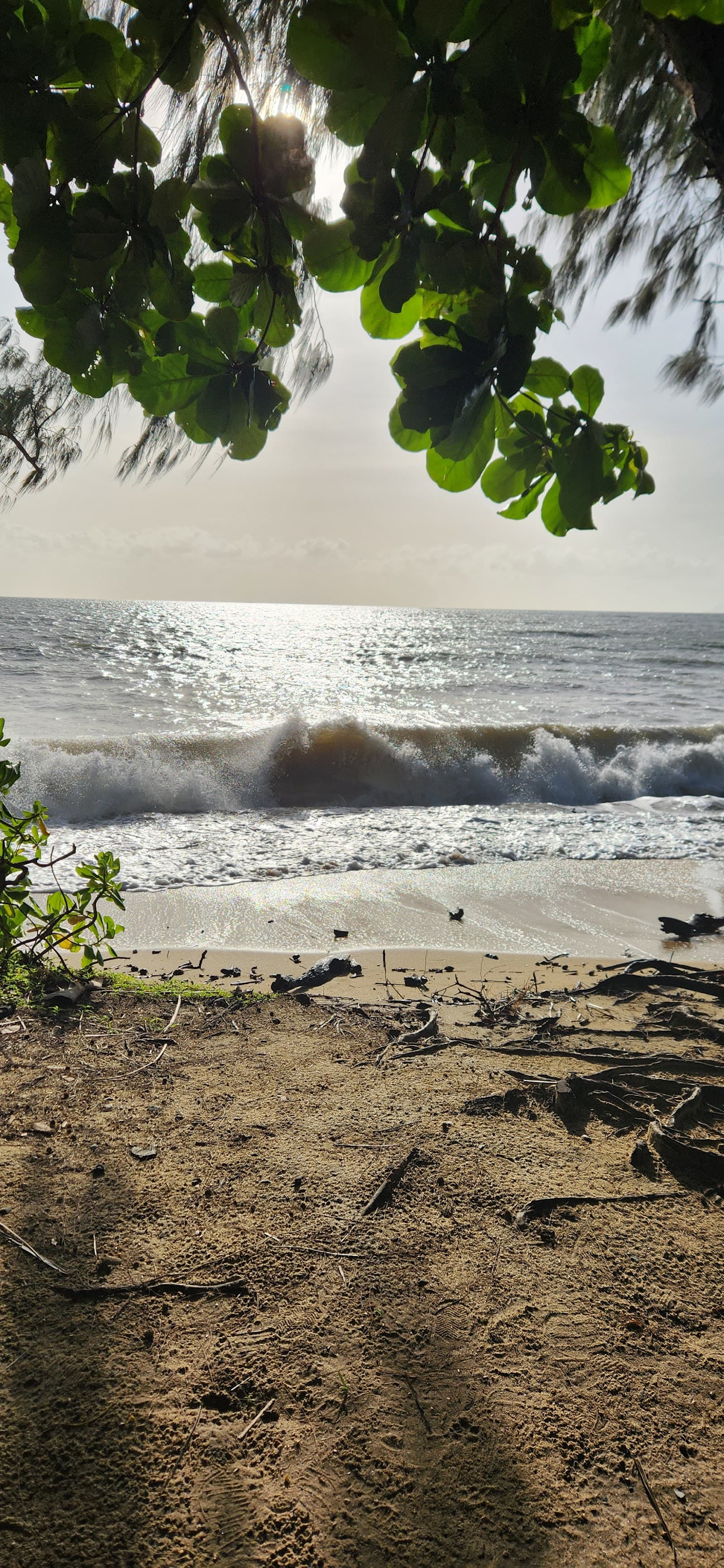 Palm Cove Beach - South — Palm Cove, Cairns