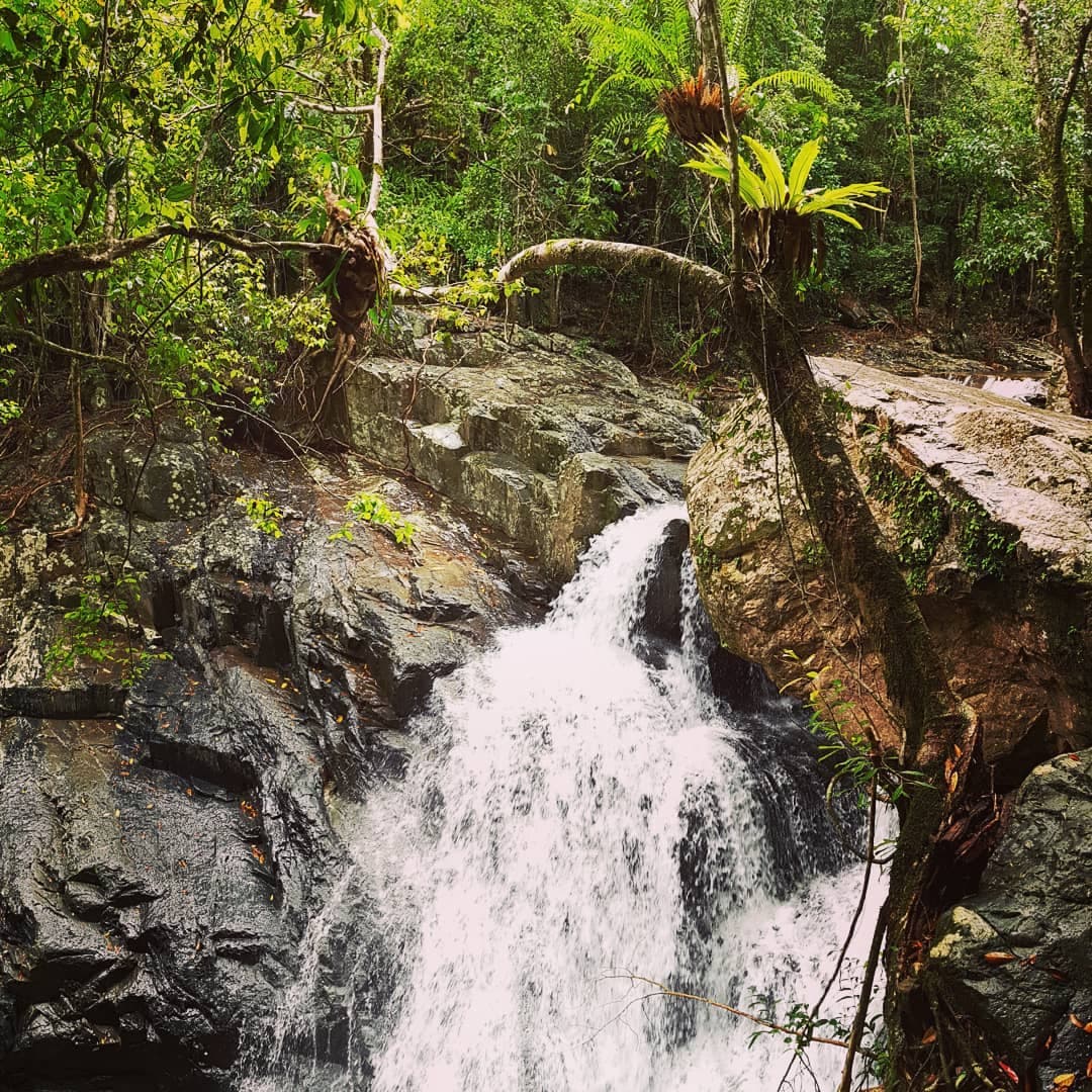 Stoney Creek Falls — Kuranda, Cairns
