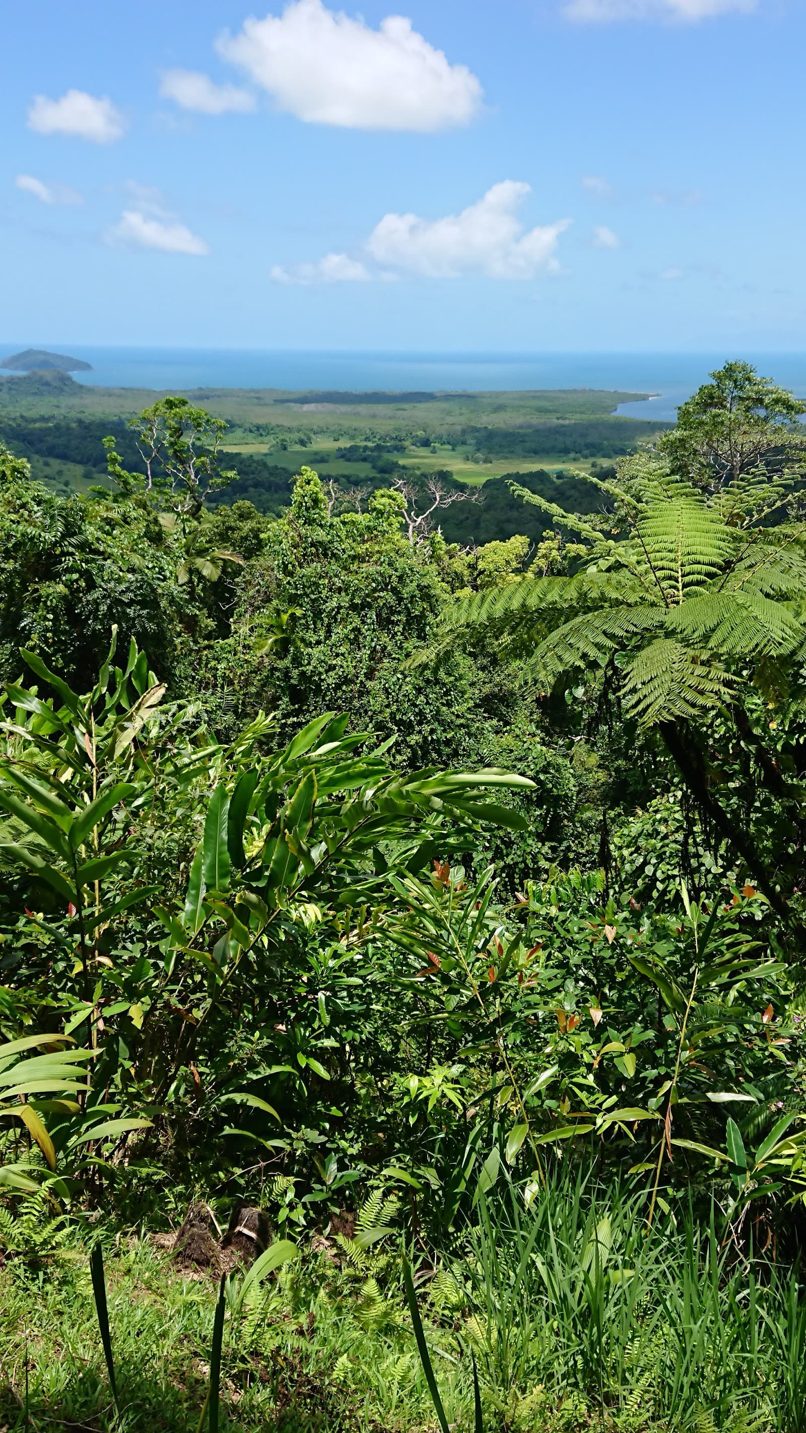 Great Barrier Reef Drive — Port Douglas, Cairns