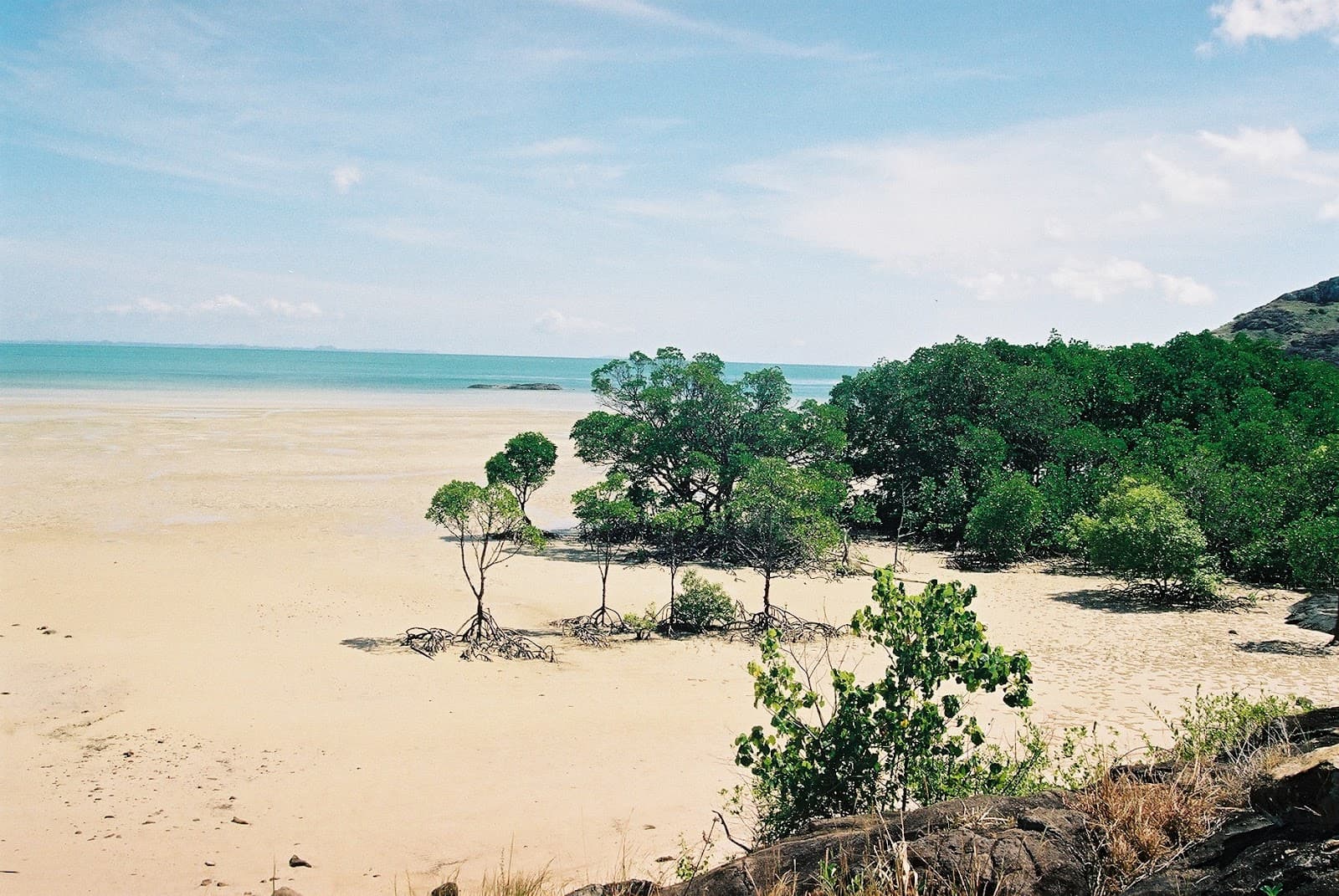 Great Barrier Reef Drive — Port Douglas, Cairns