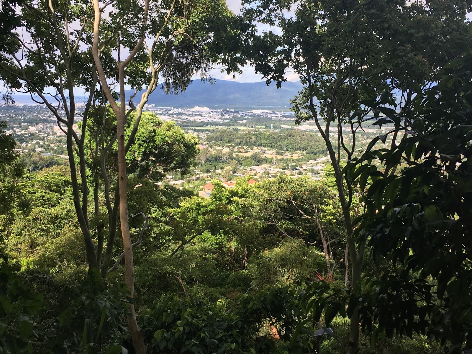 Ivan Evans Walk — Holloways Beach, Cairns