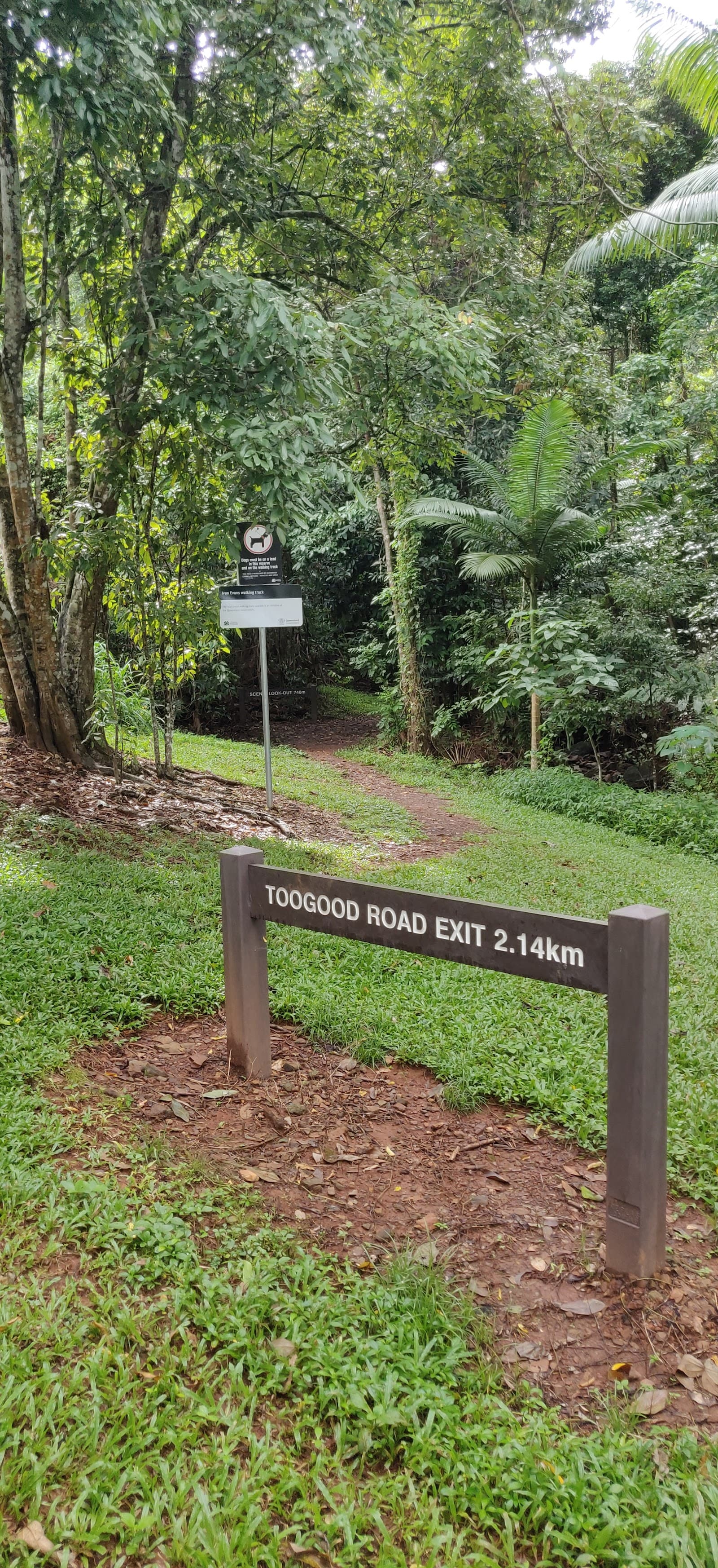 Ivan Evans Walk — Holloways Beach, Cairns