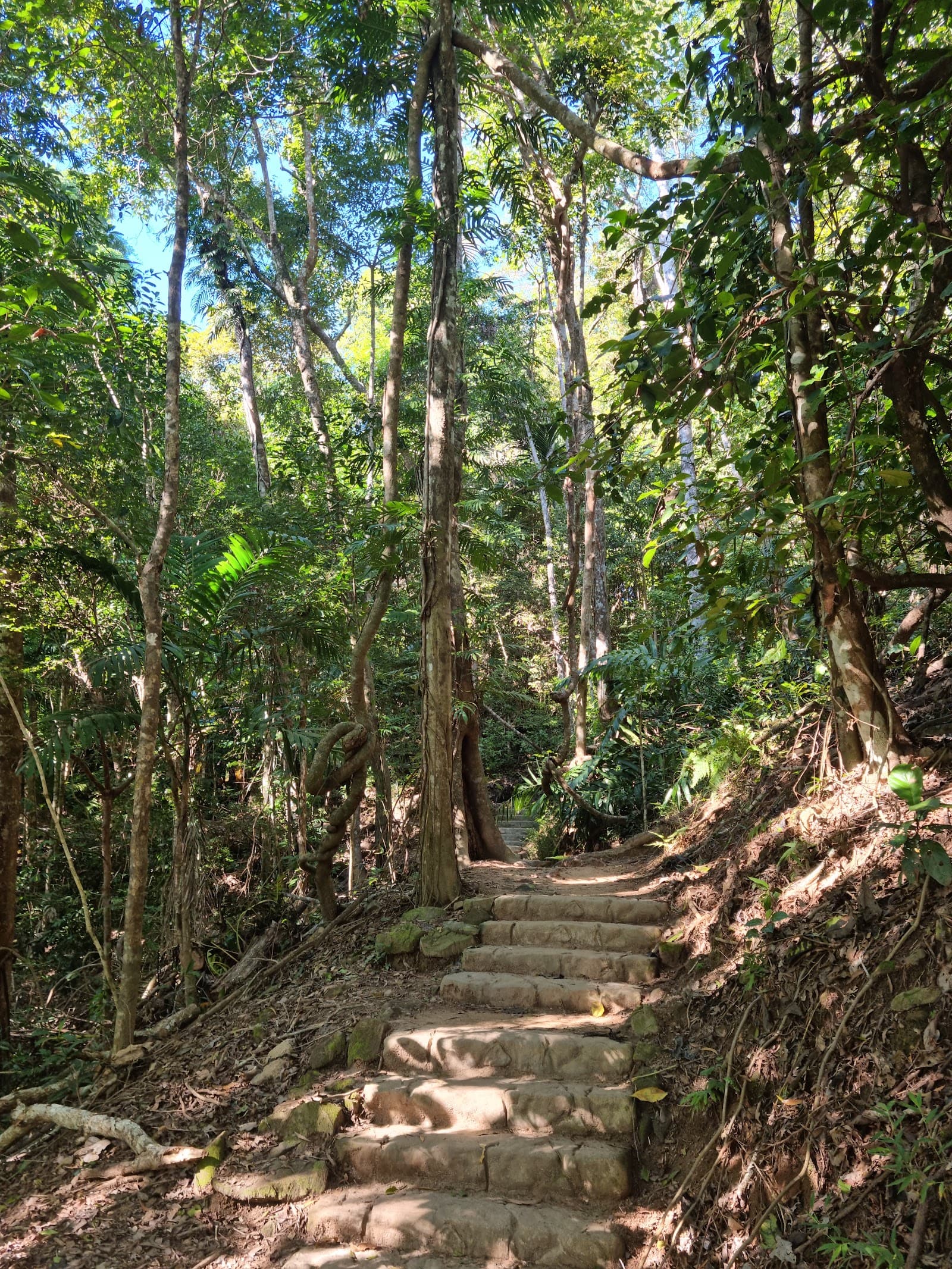 Yellow Arrow Walking Track — Smithfield, Cairns