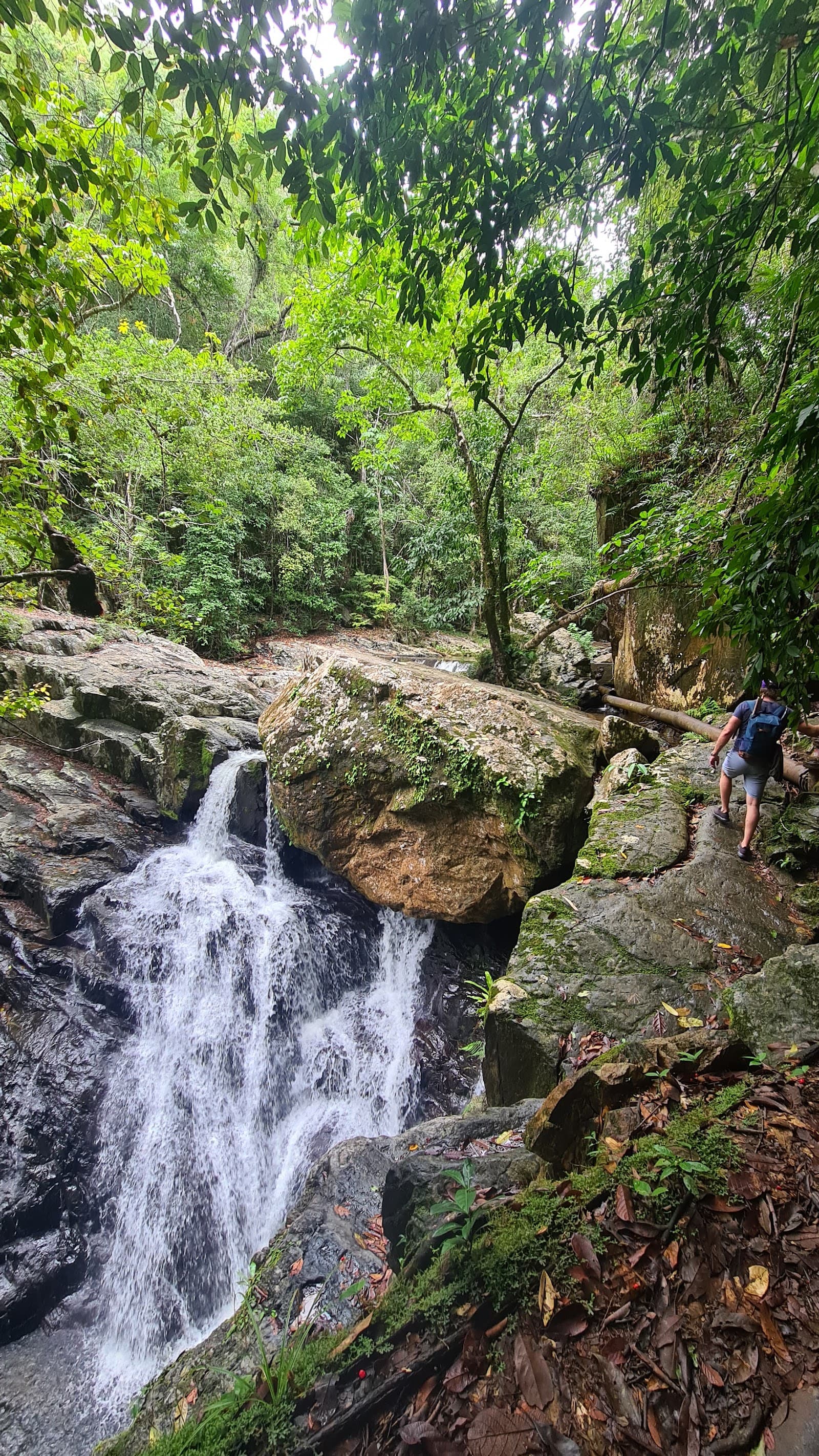 Old Weir Falls — Cairns City, Cairns