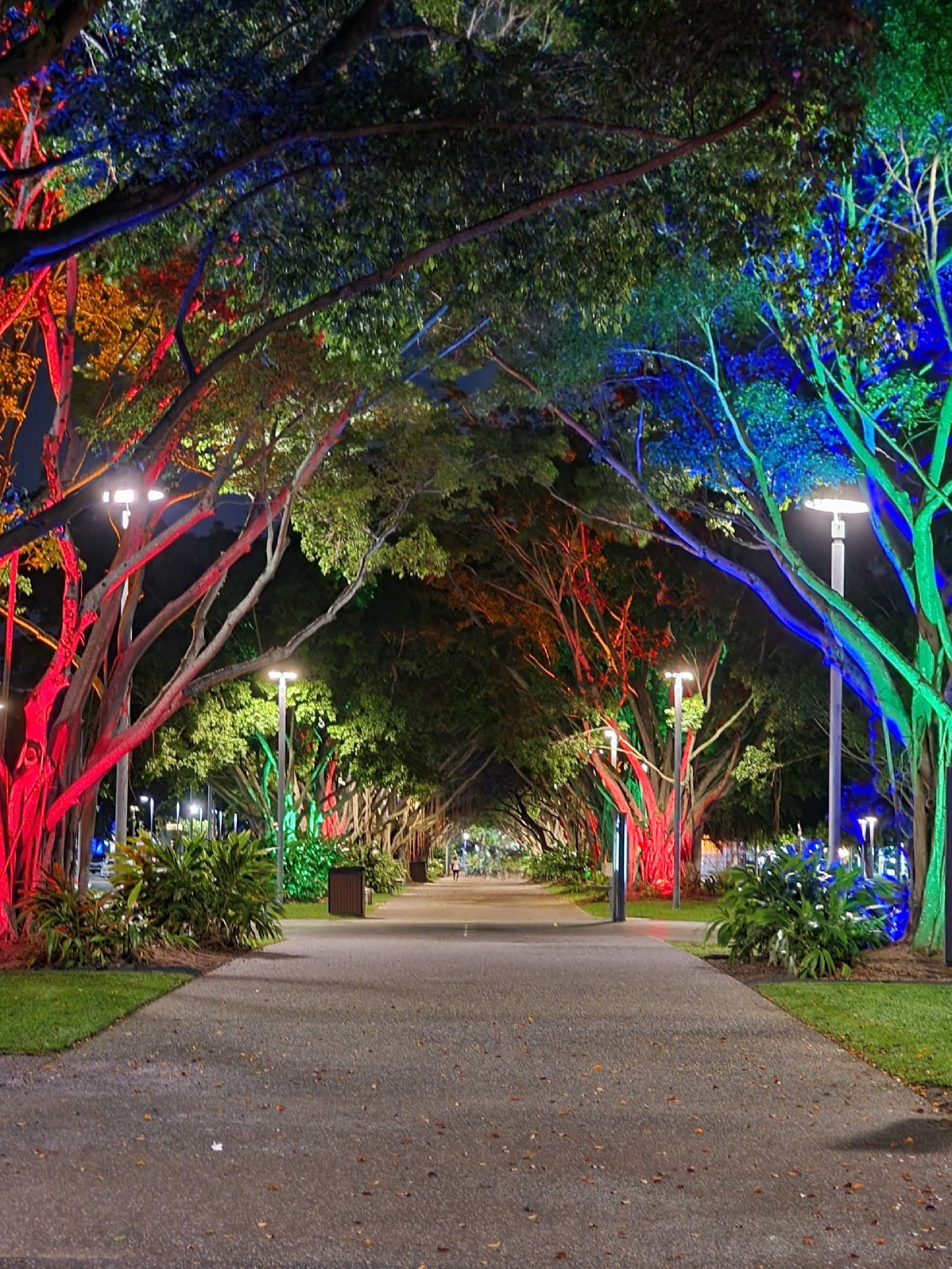 Esplanade — Cairns North, Cairns