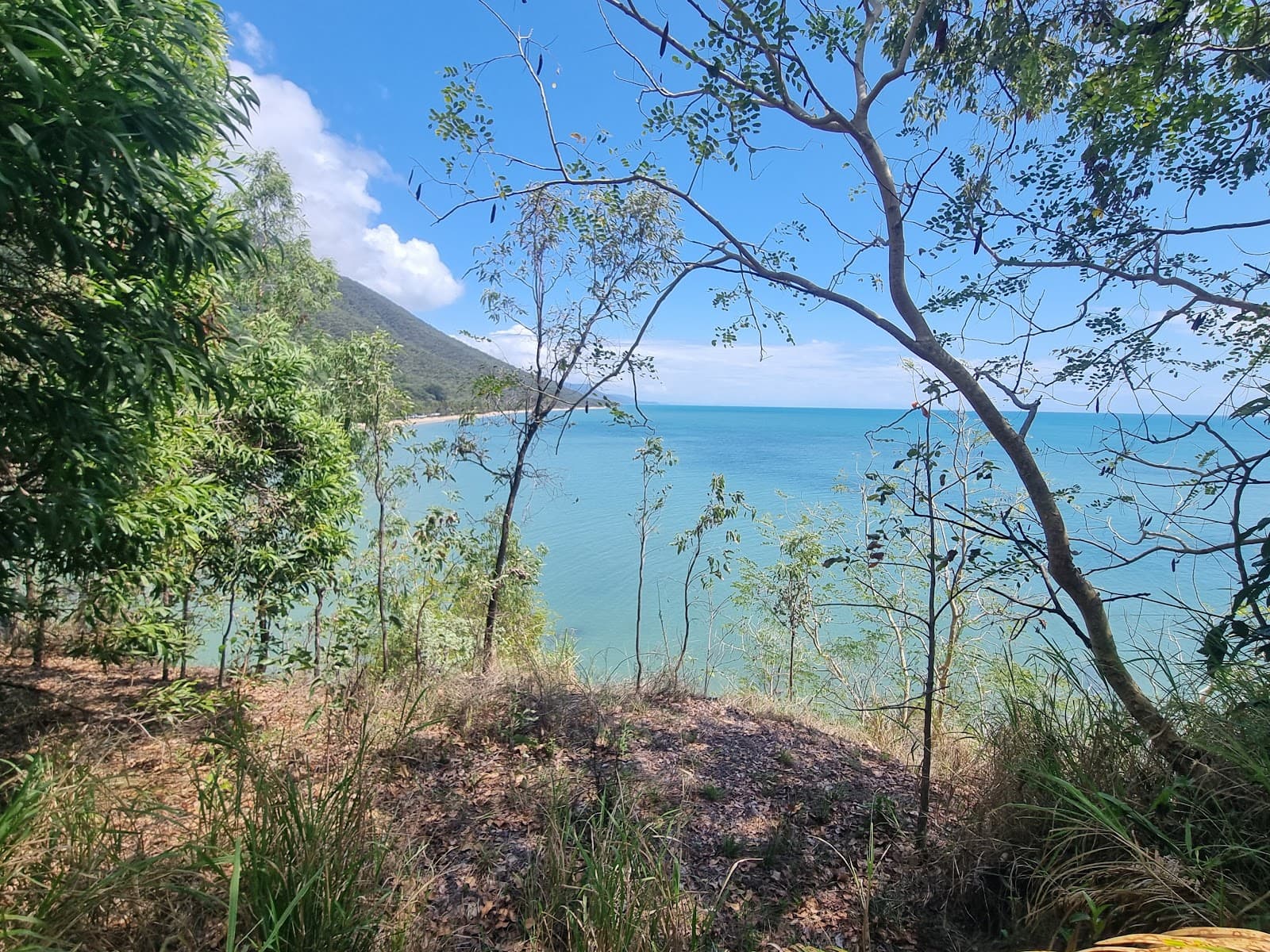 Wangetti Trail (Palm Cove - Ellis Beach)) — Clifton Beach, Cairns