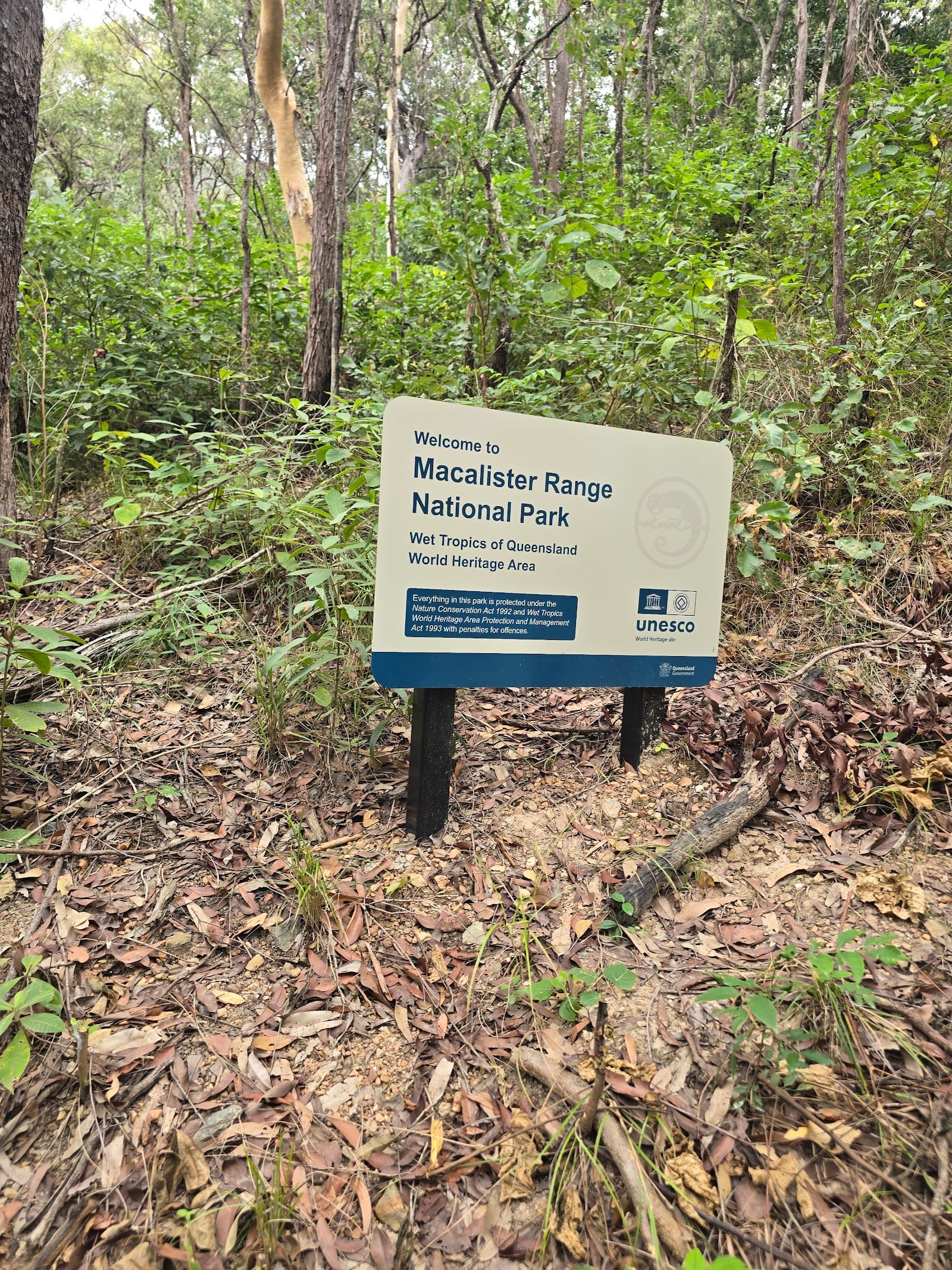 Wangetti Trail (Ellis Beach - Palm Cove) — Clifton Beach, Cairns