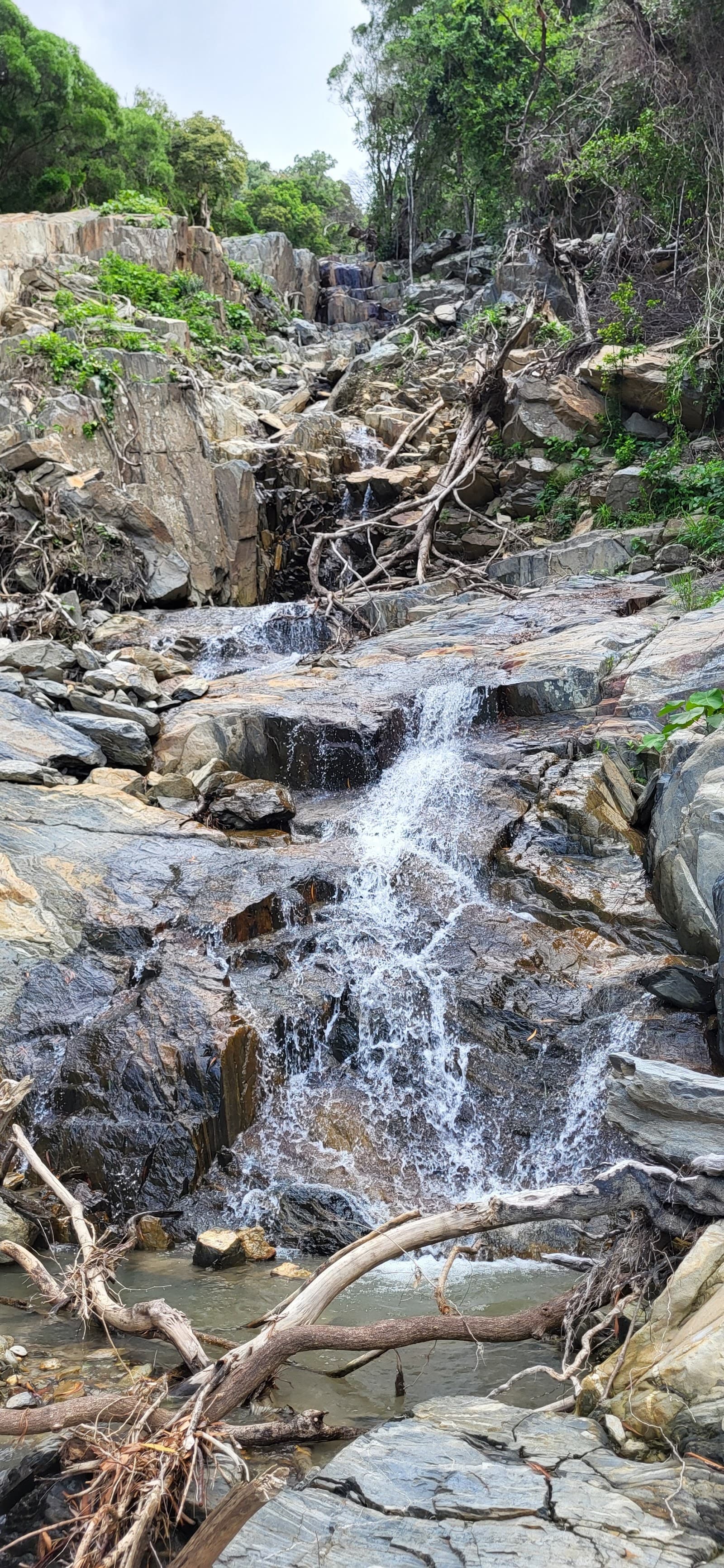 Ellis Waterfall — Palm Cove, Cairns