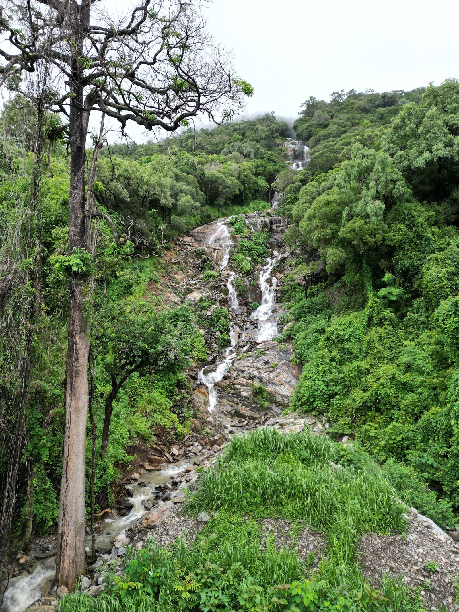 Ellis Waterfall — Palm Cove, Cairns