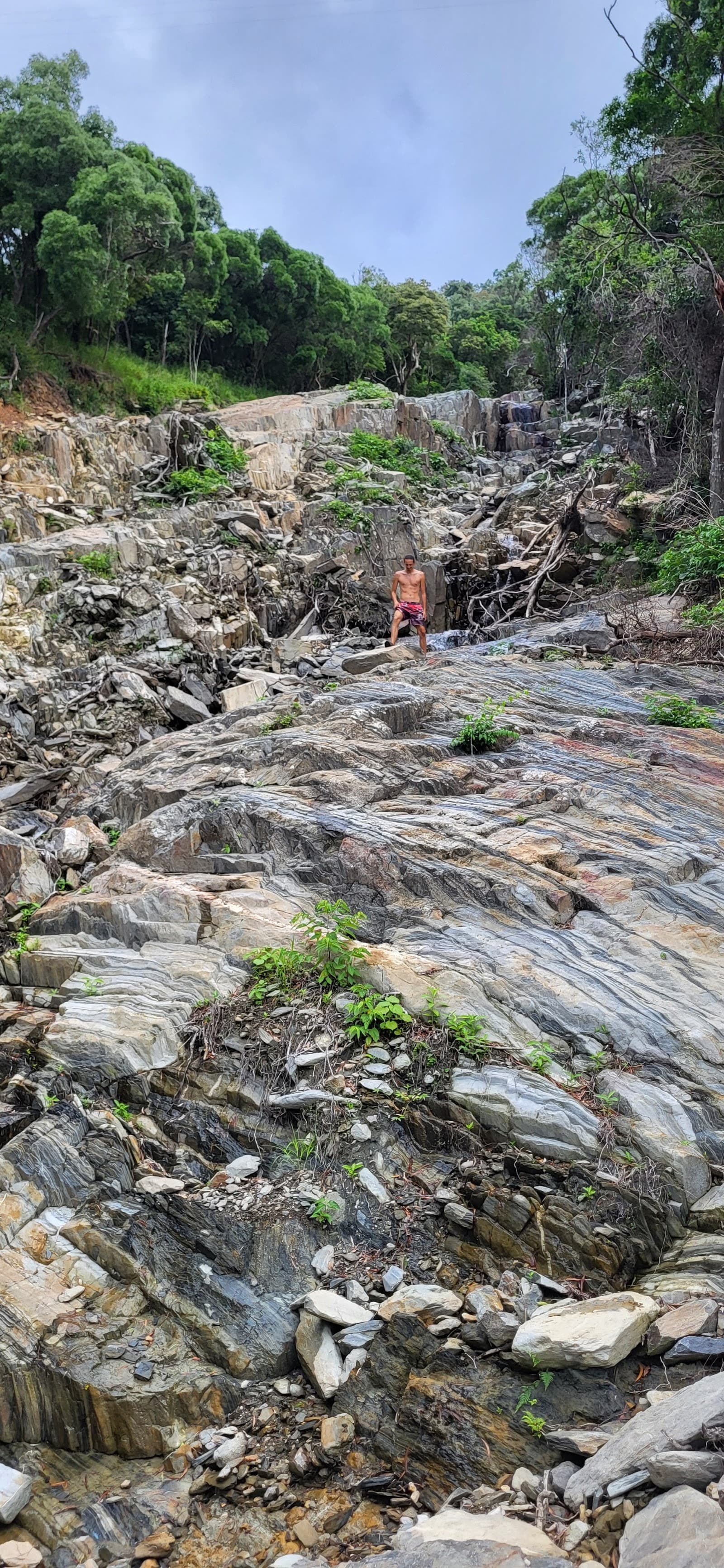 Ellis Waterfall — Palm Cove, Cairns